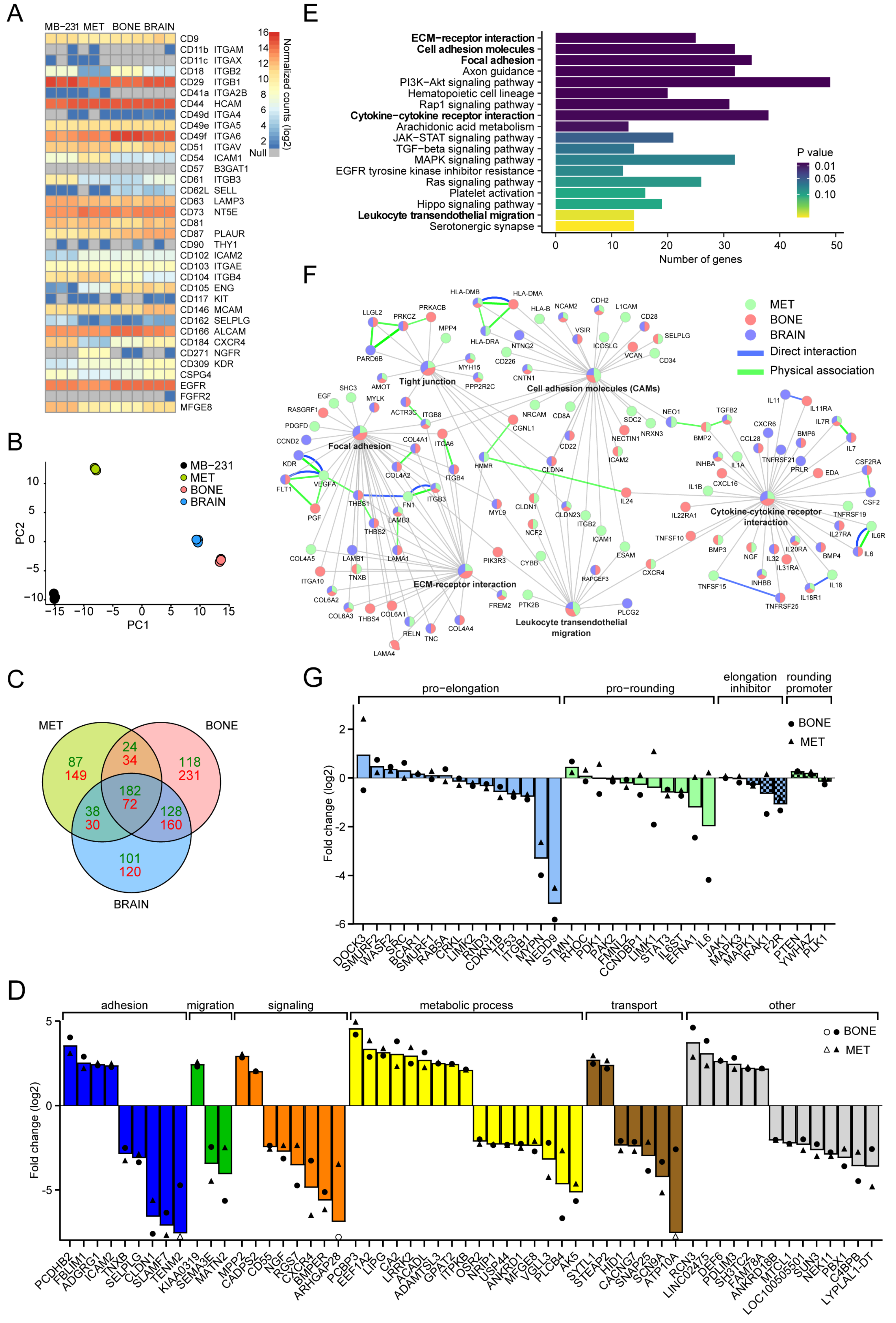 Cancers 14 00603 g009
