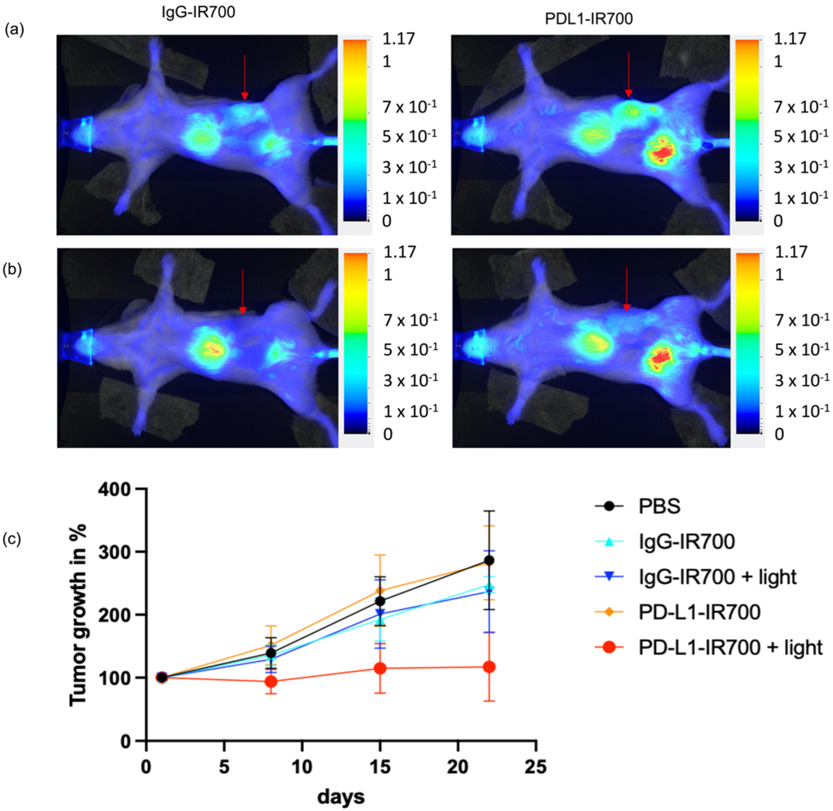 Cancers 14 00619 g005