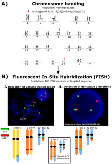 Cancers 14 00620 g001