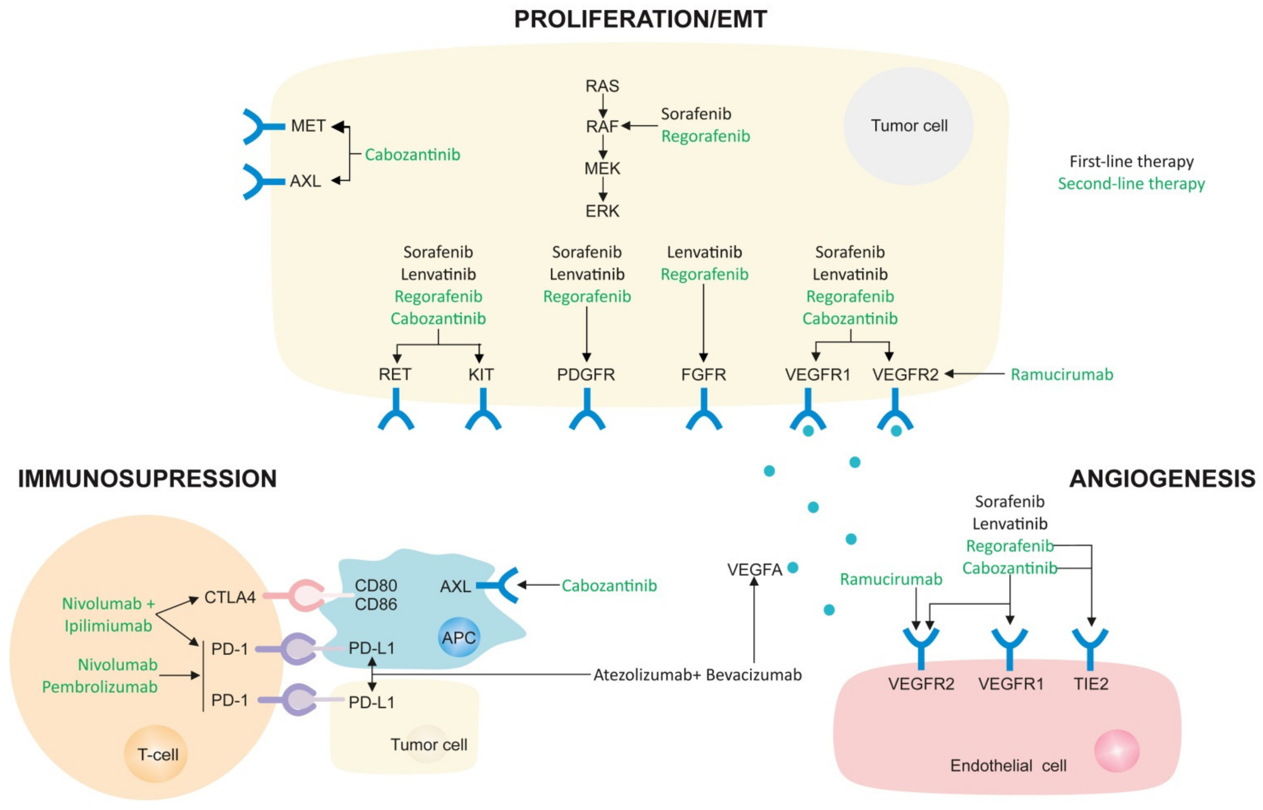 Cancers 14 00621 g003 Cancers 14 00621 g003