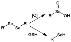 Cancers 14 00622 i014