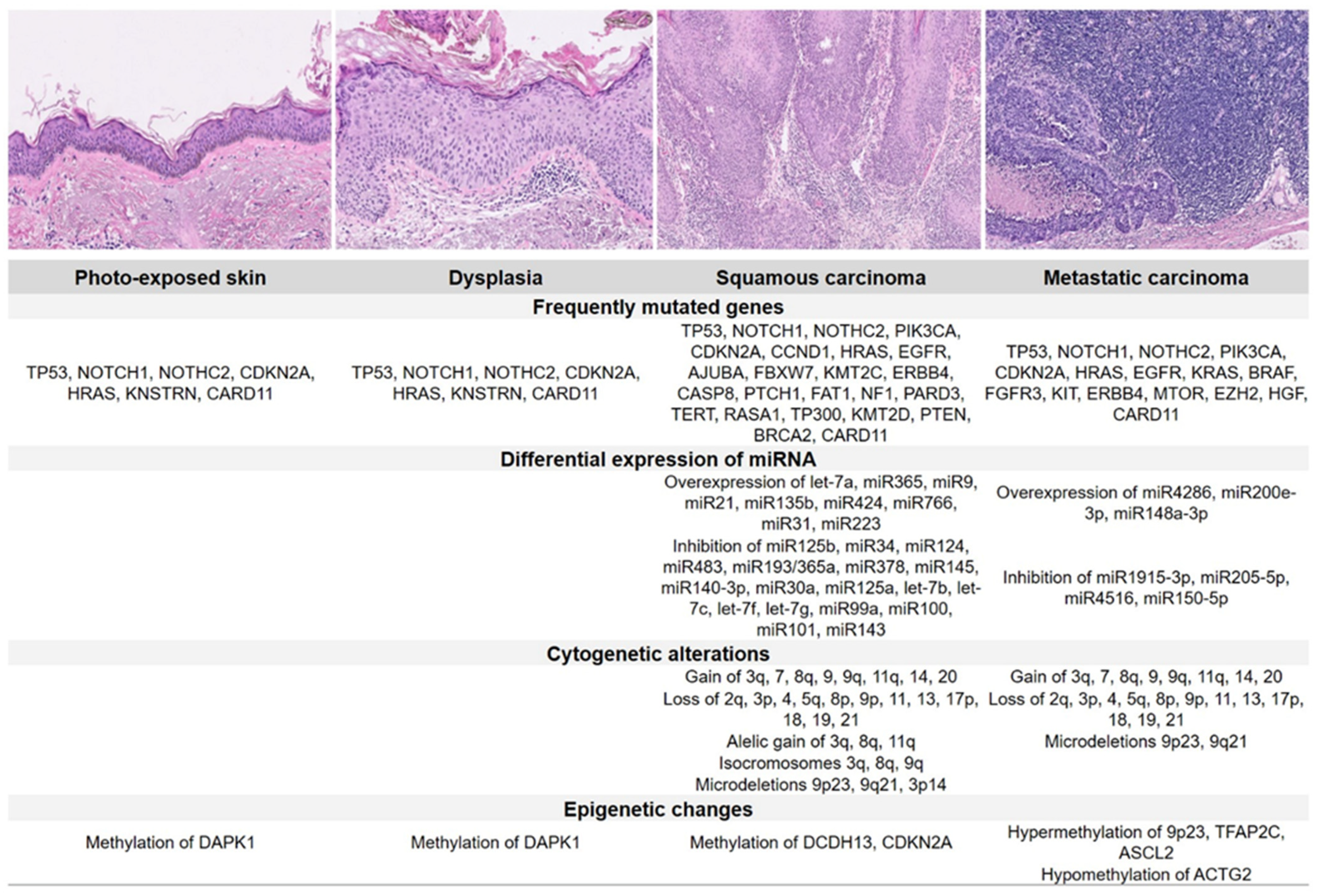 Cancers 14 00629 g001 Cancers 14 00629 g001