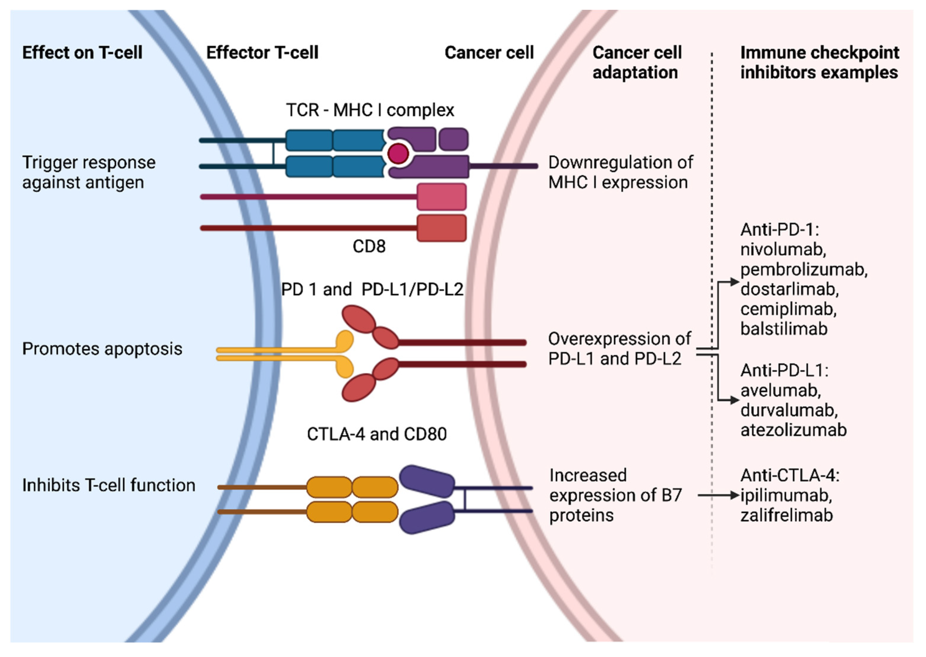 Cancers 14 00631 g001