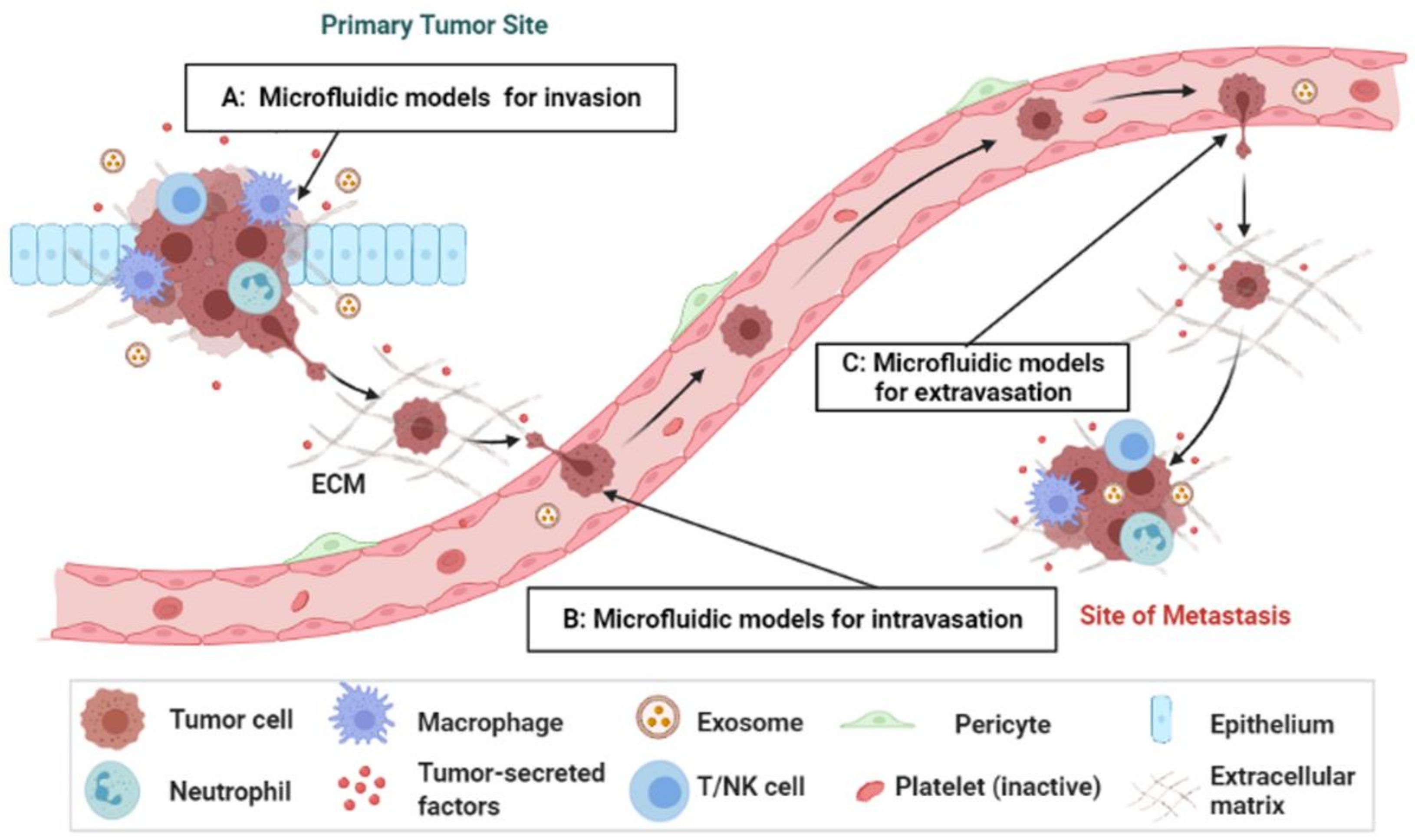 Cancers 14 00648 g001