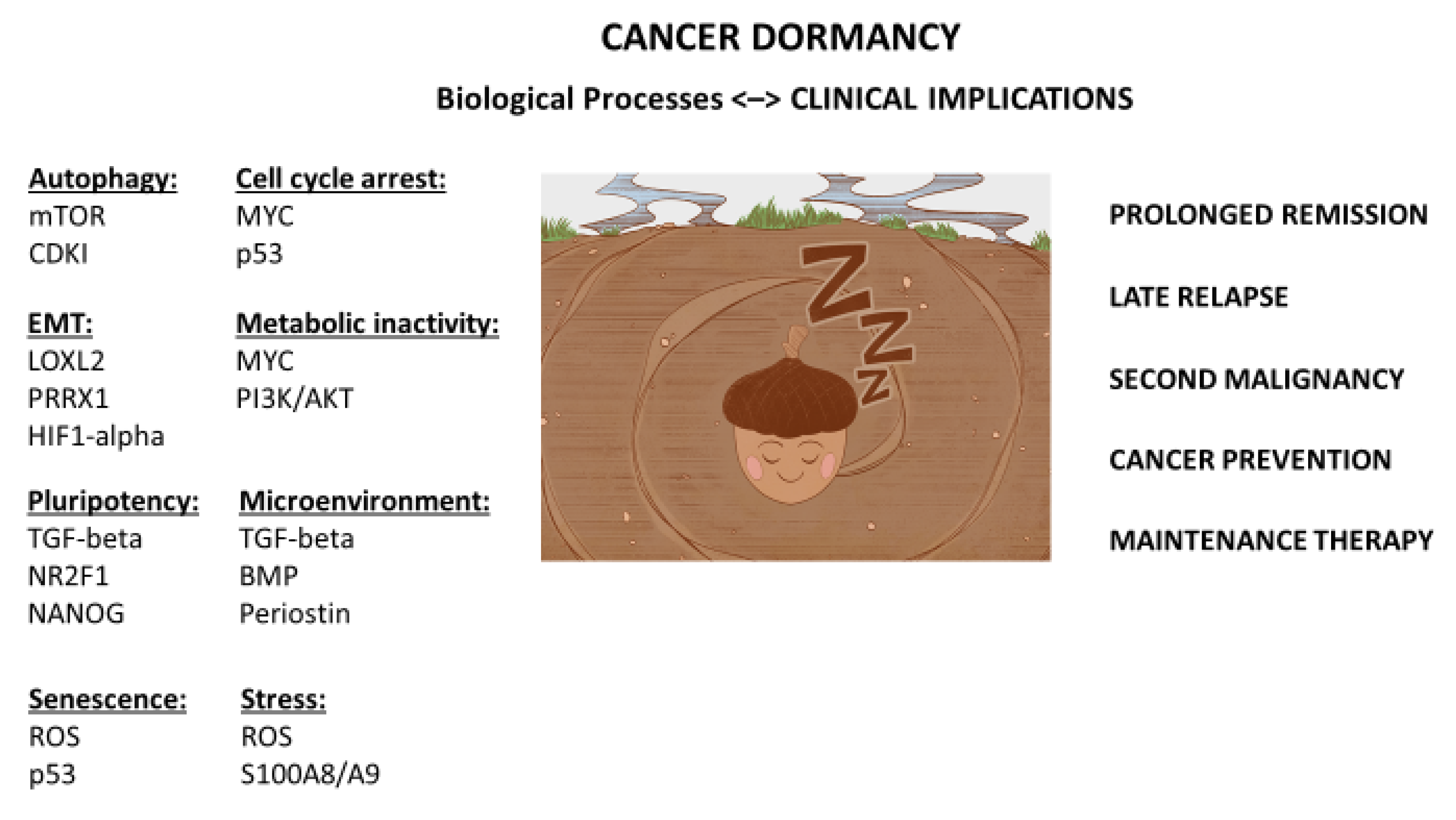 Cancers 14 00655 g001