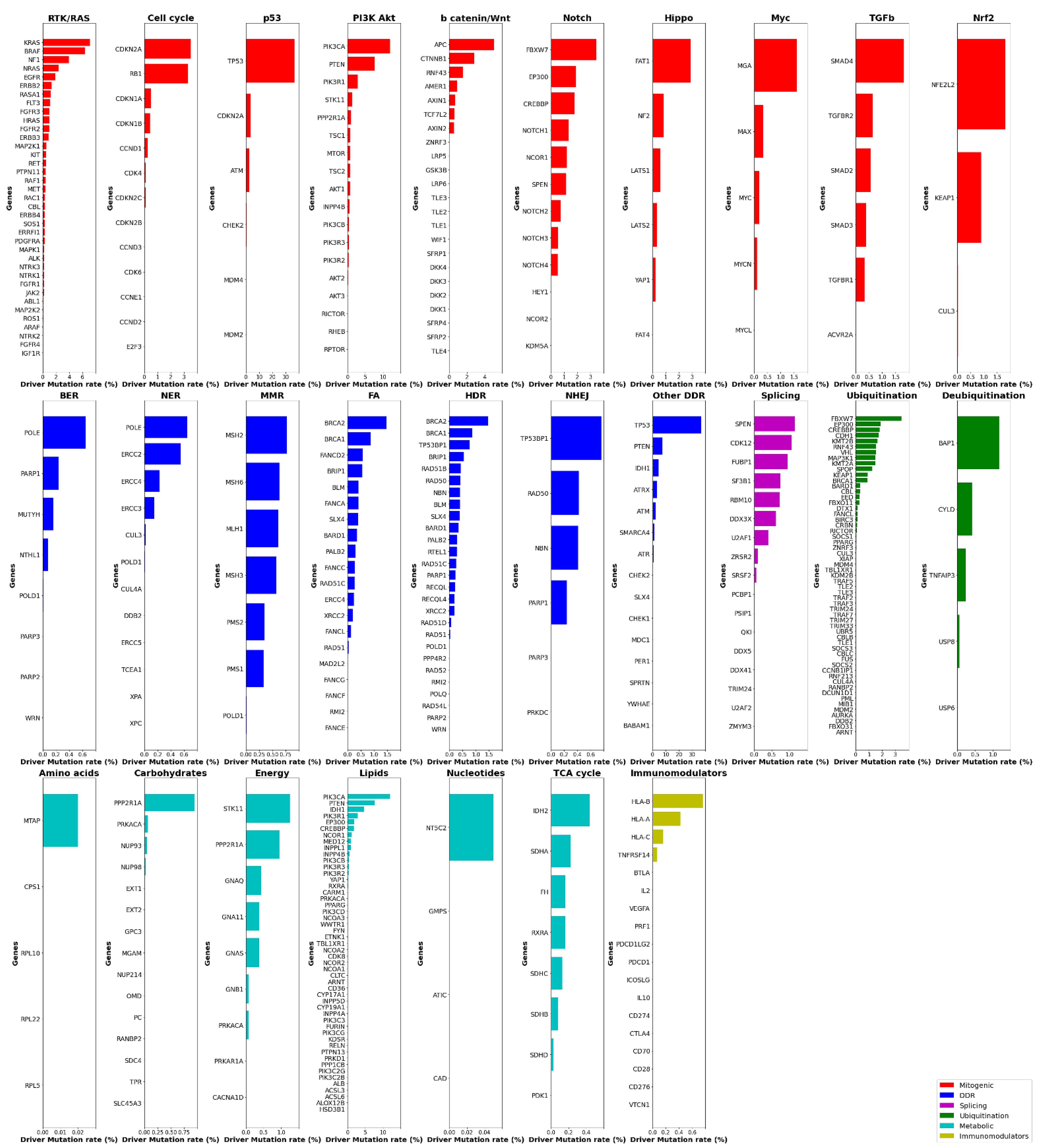 Cancers 14 00664 g001