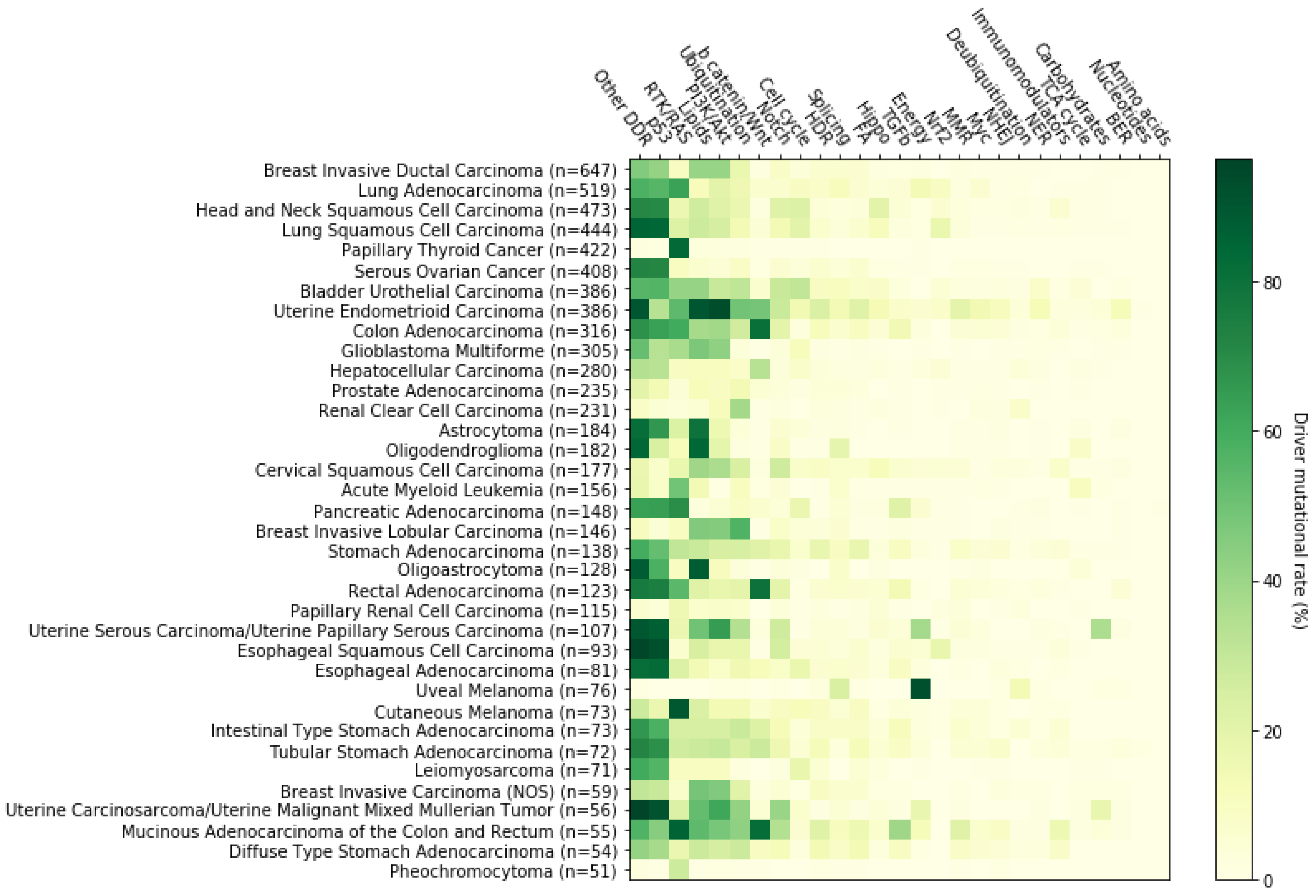 Cancers 14 00664 g003