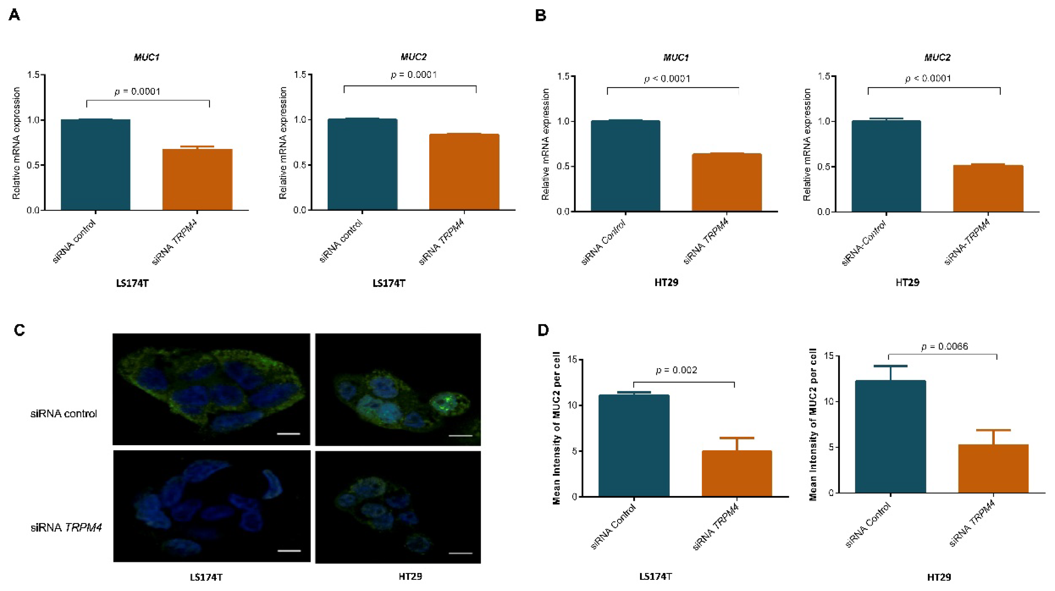 Cancers 14 00670 g004
