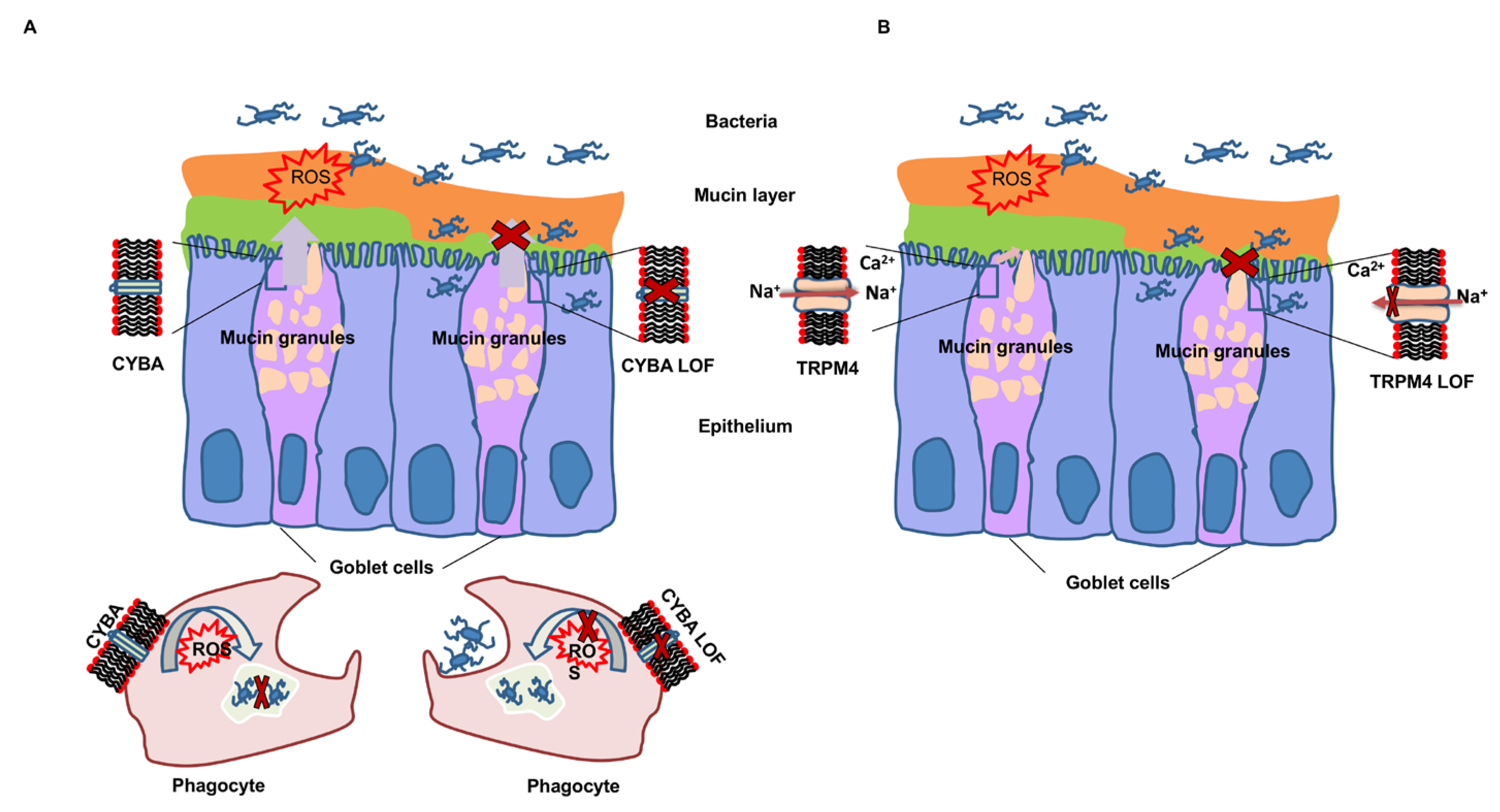 Cancers 14 00670 g006