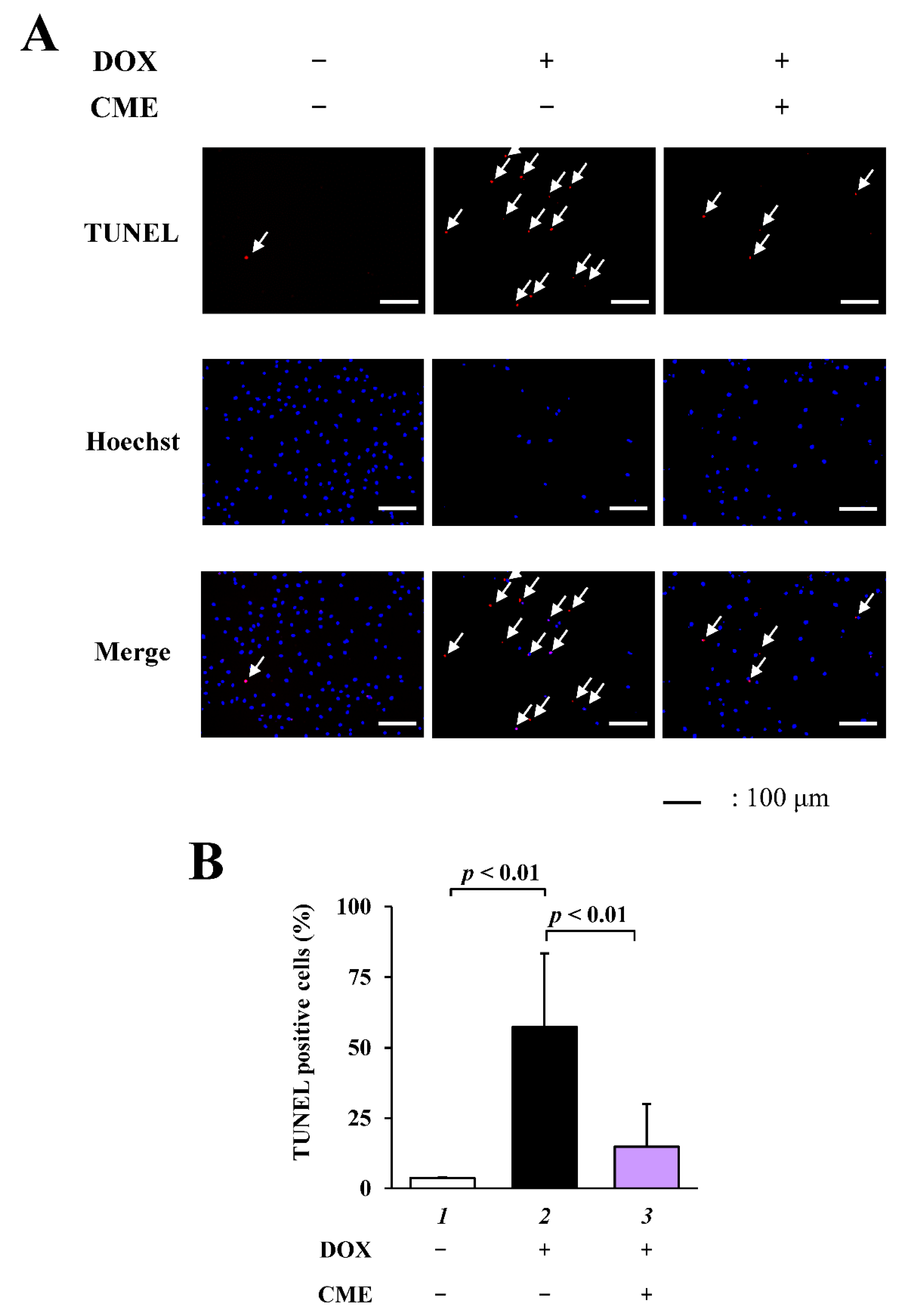 Cancers 14 00683 g002