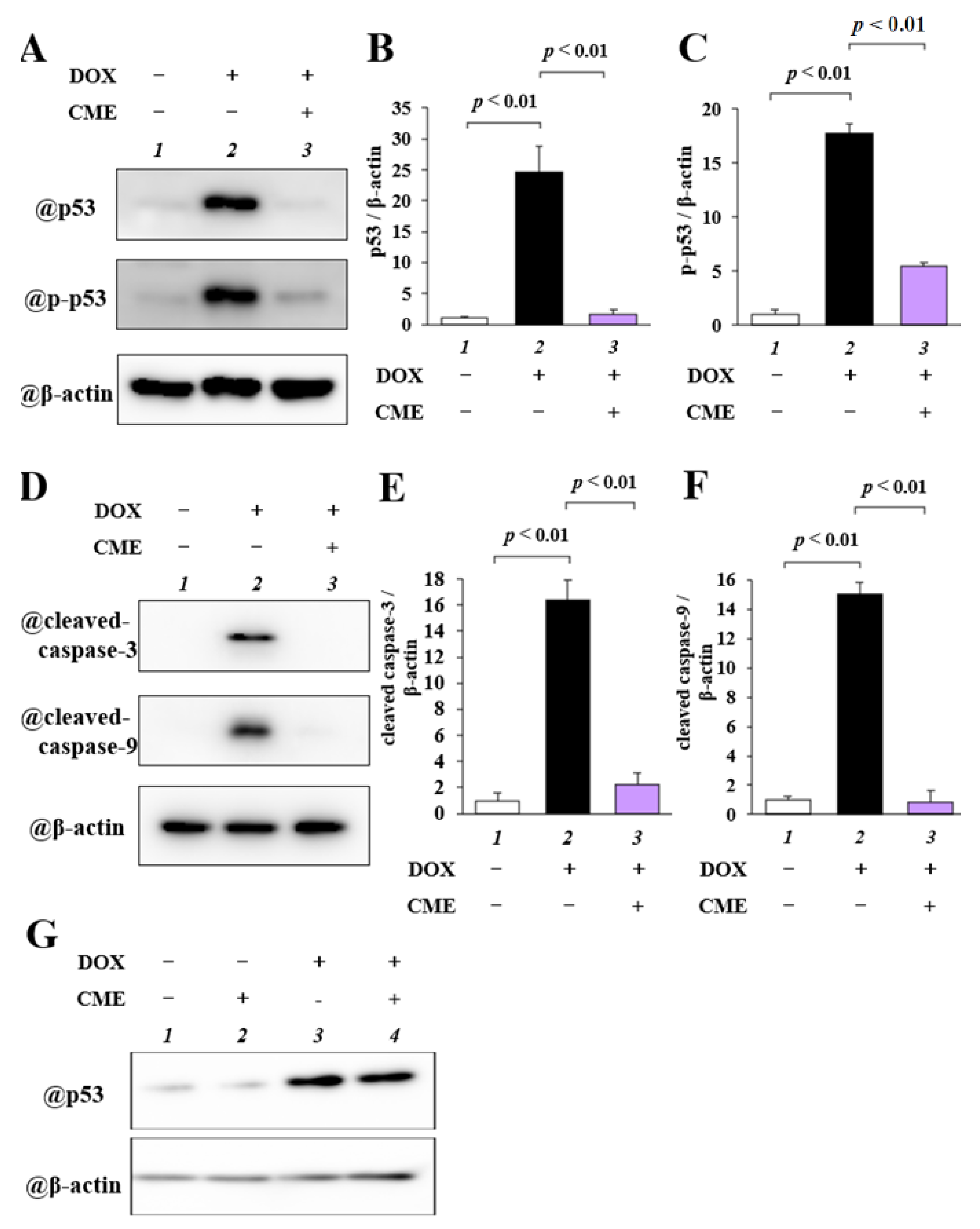 Cancers 14 00683 g003