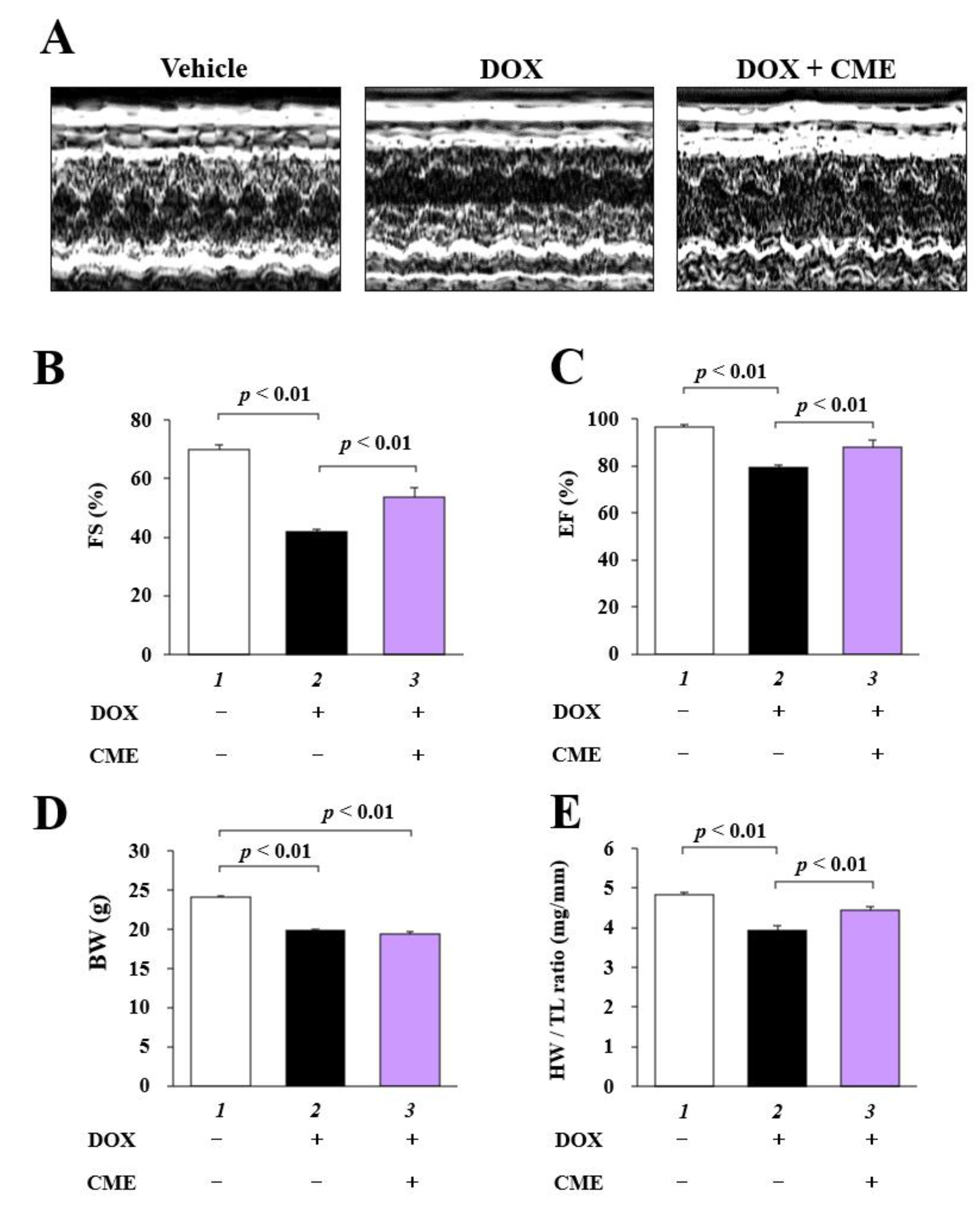 Cancers 14 00683 g005