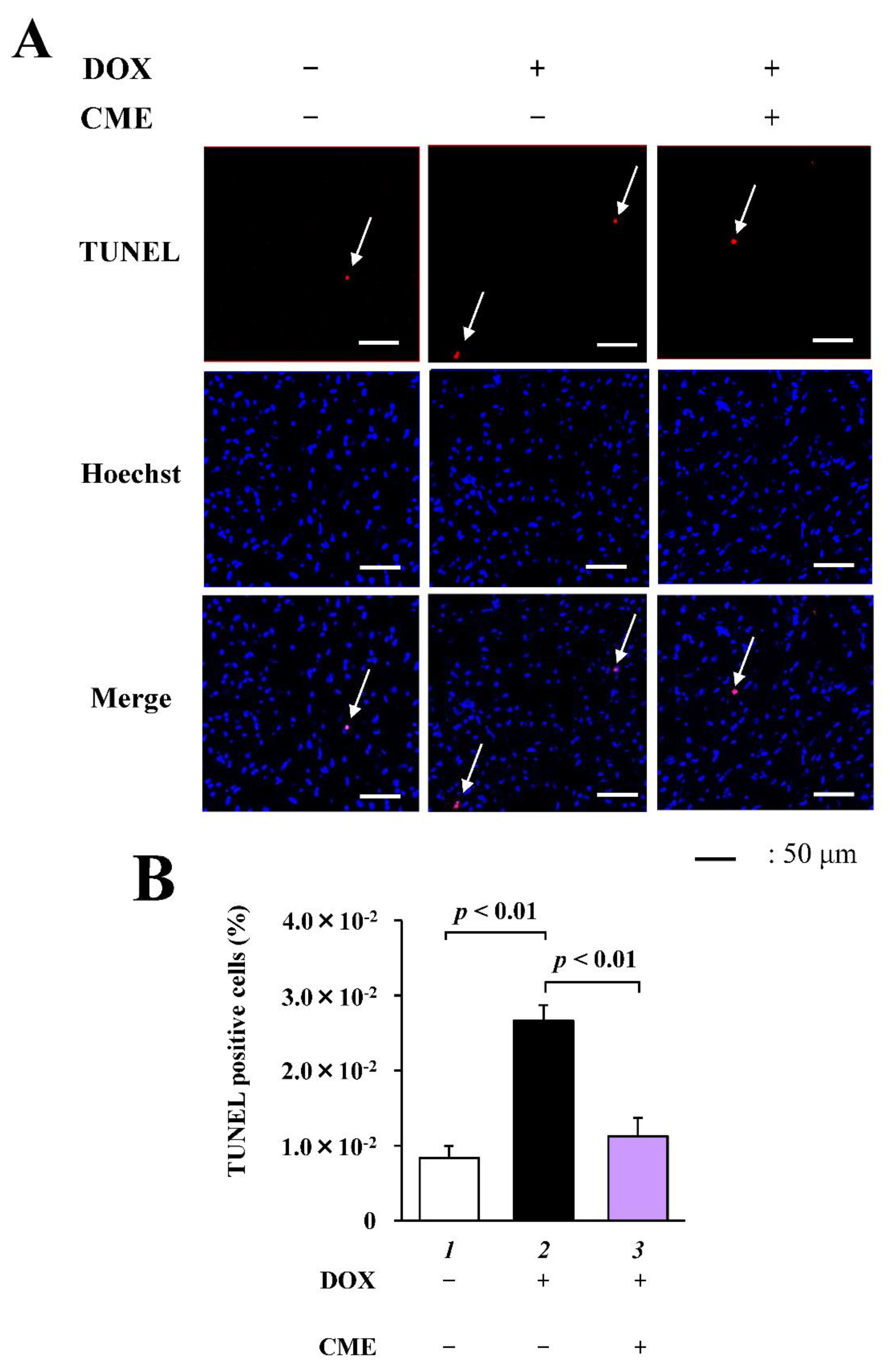 Cancers 14 00683 g006