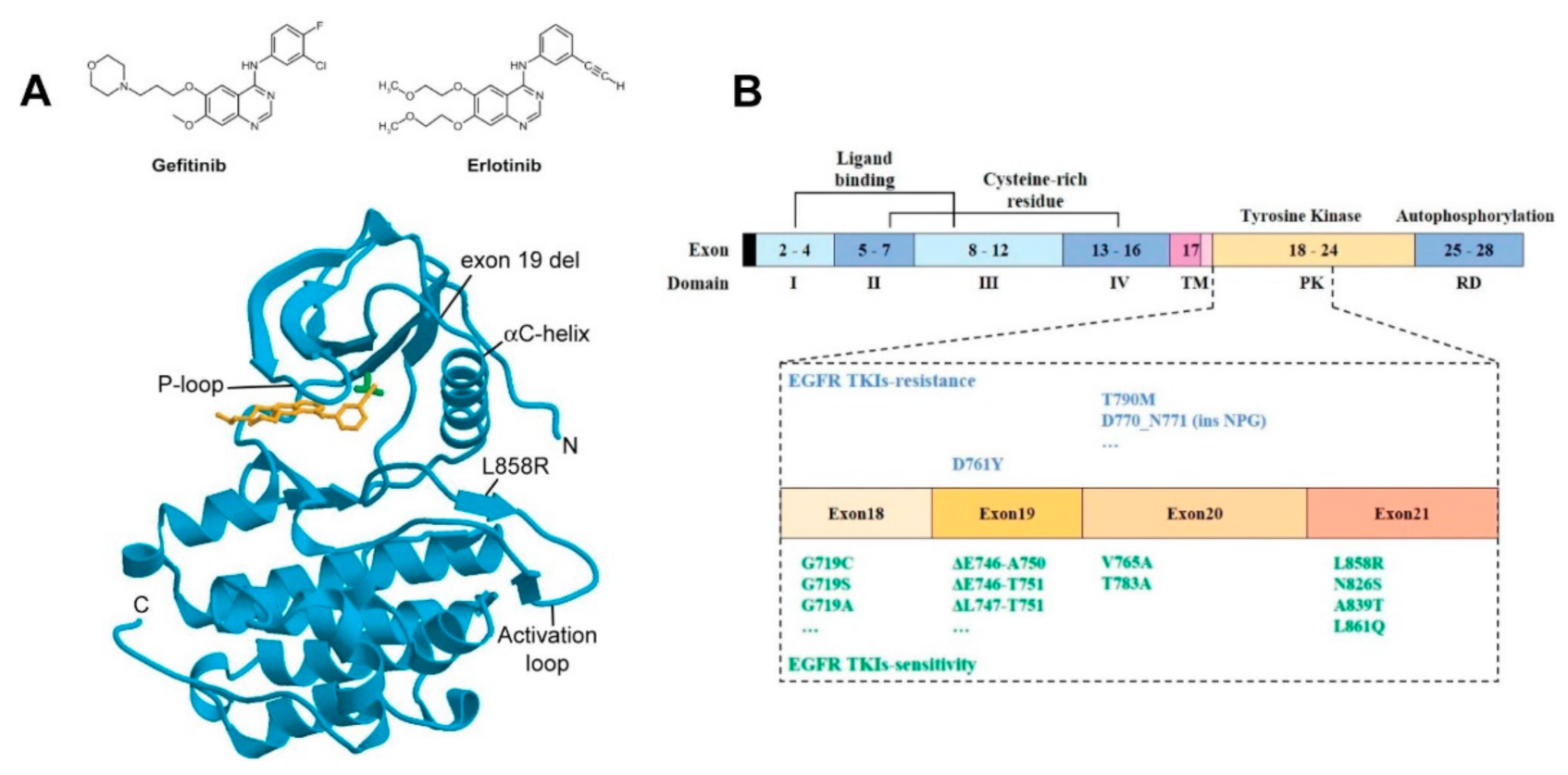 Cancers 14 00686 g001 Cancers 14 00686 g001