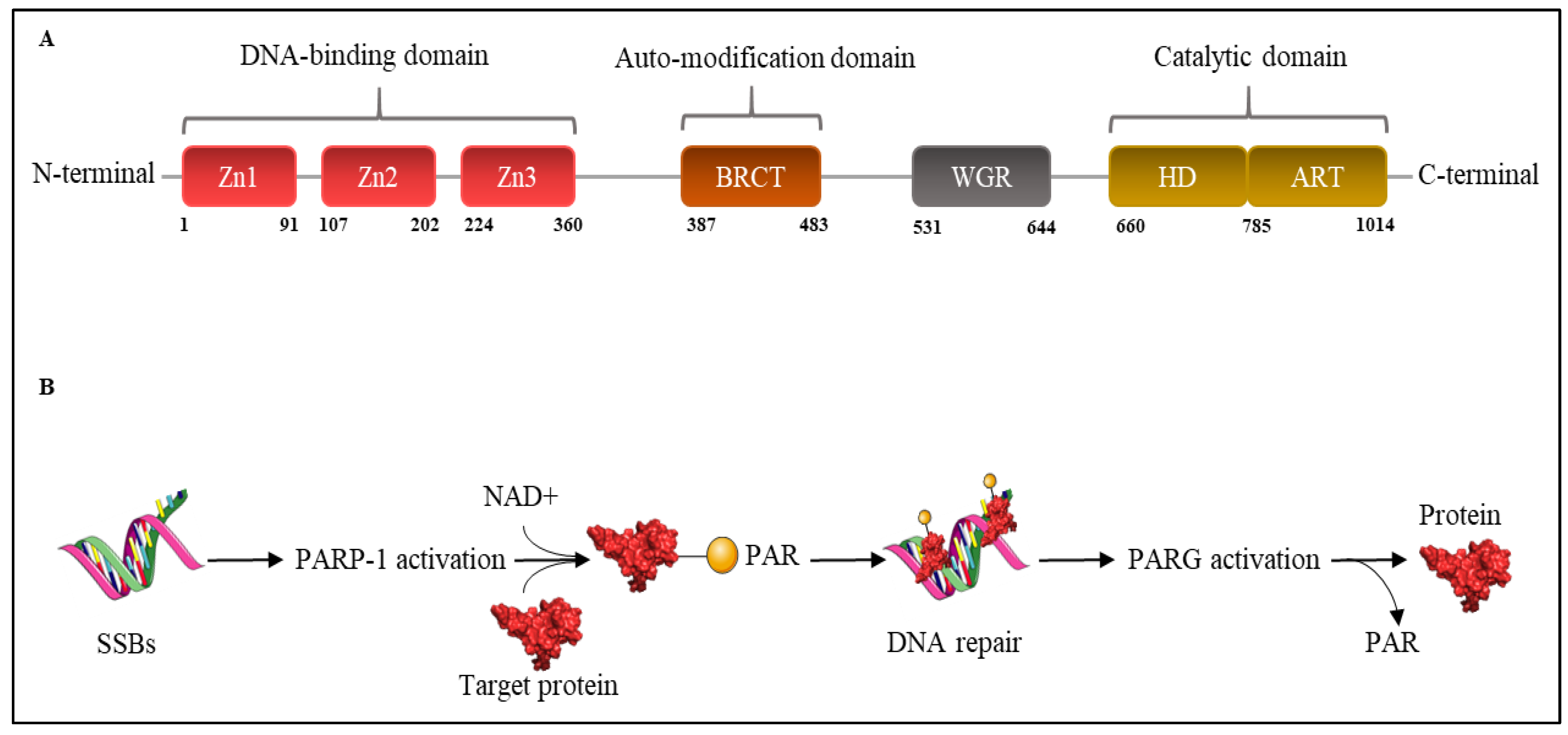Cancers 14 00687 g002