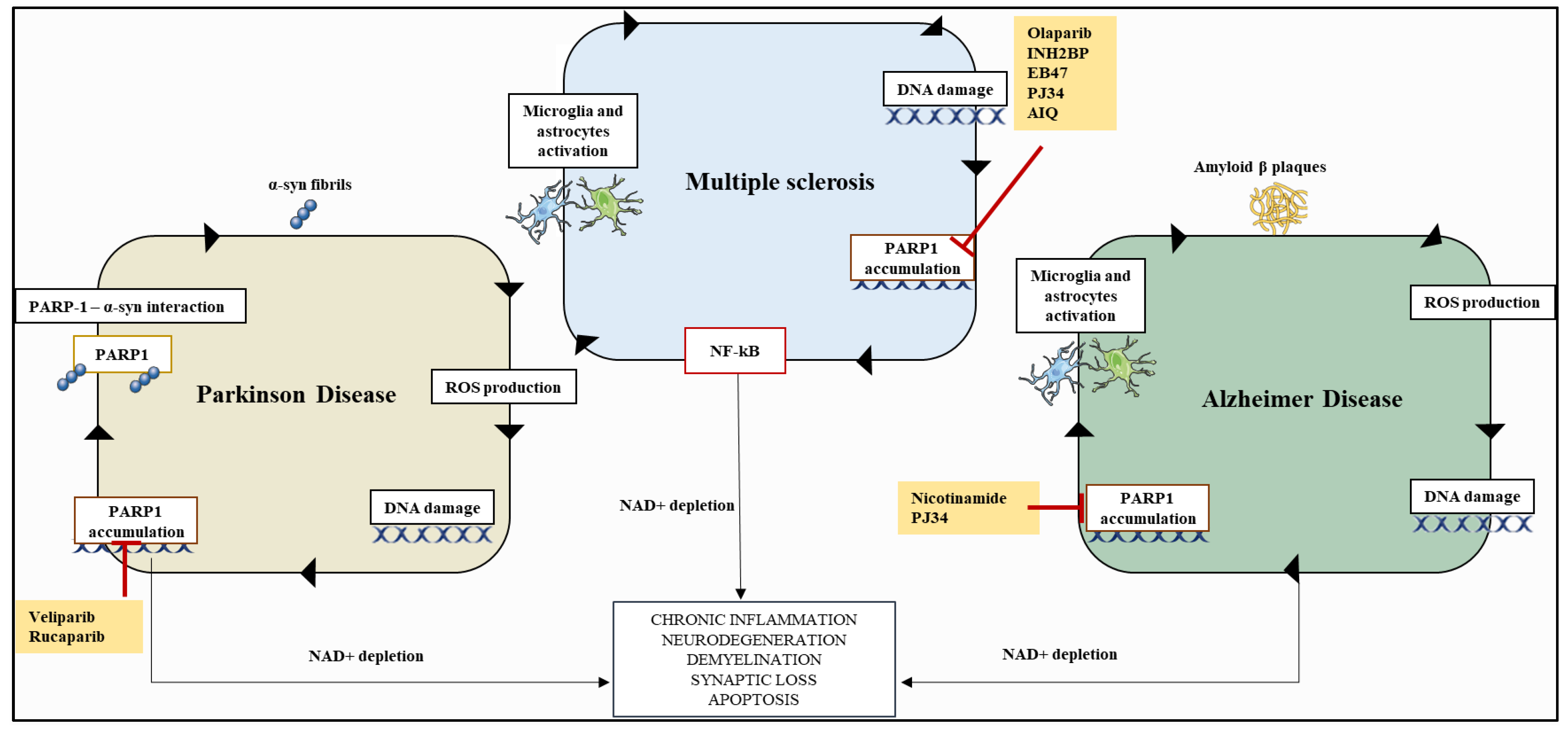 Cancers 14 00687 g004