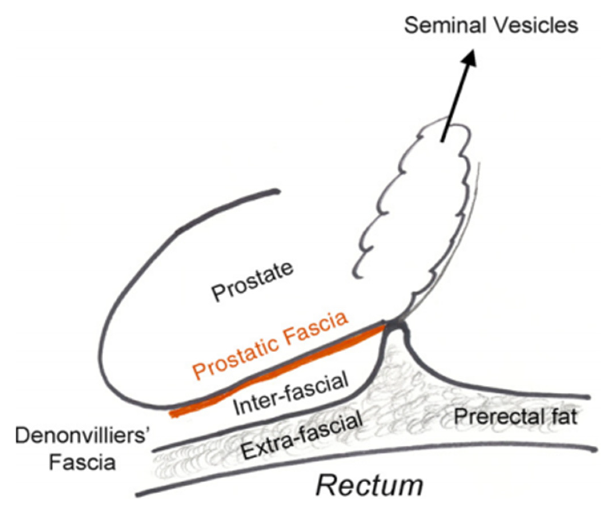 Cancers 14 00688 g001