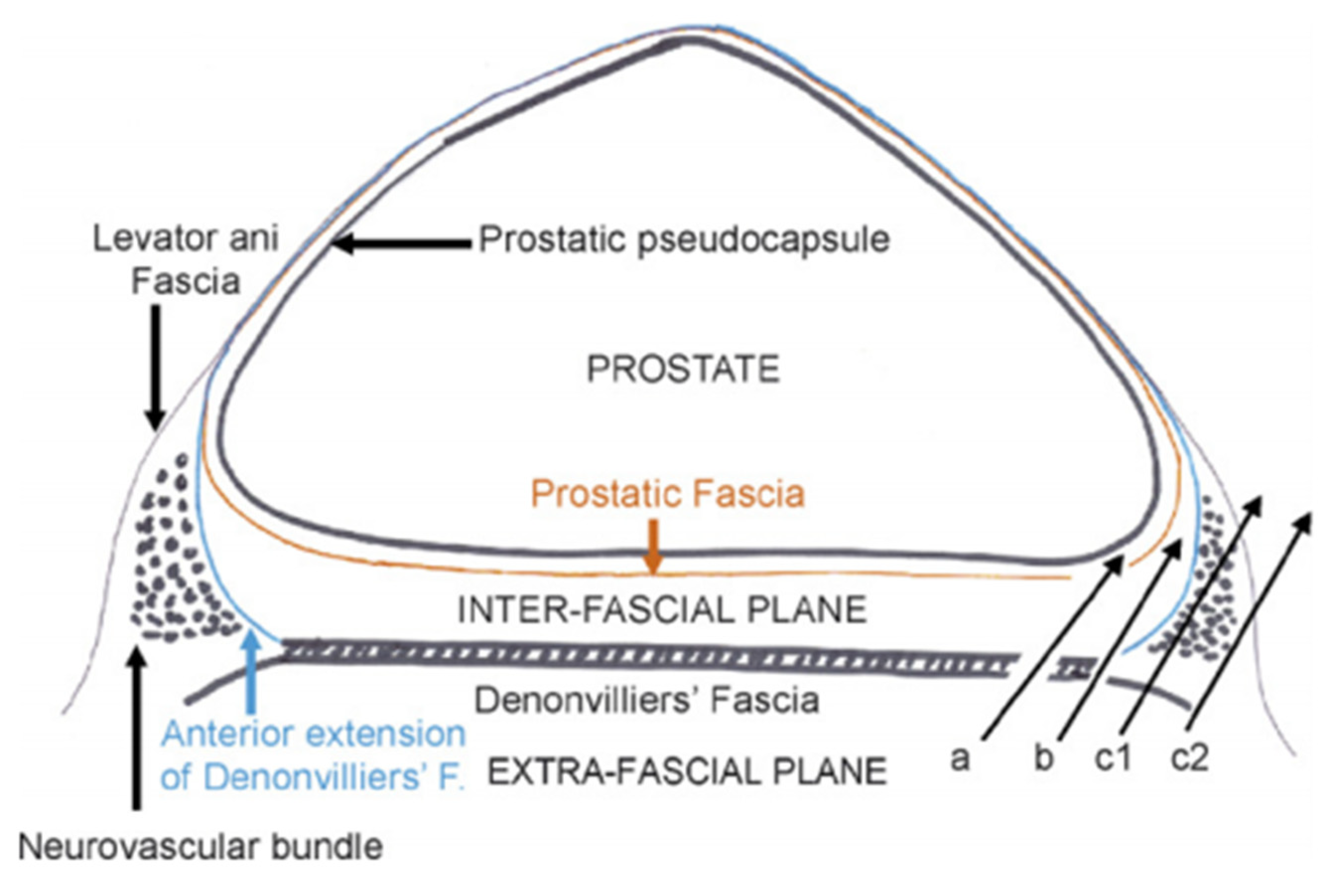 Cancers 14 00688 g002