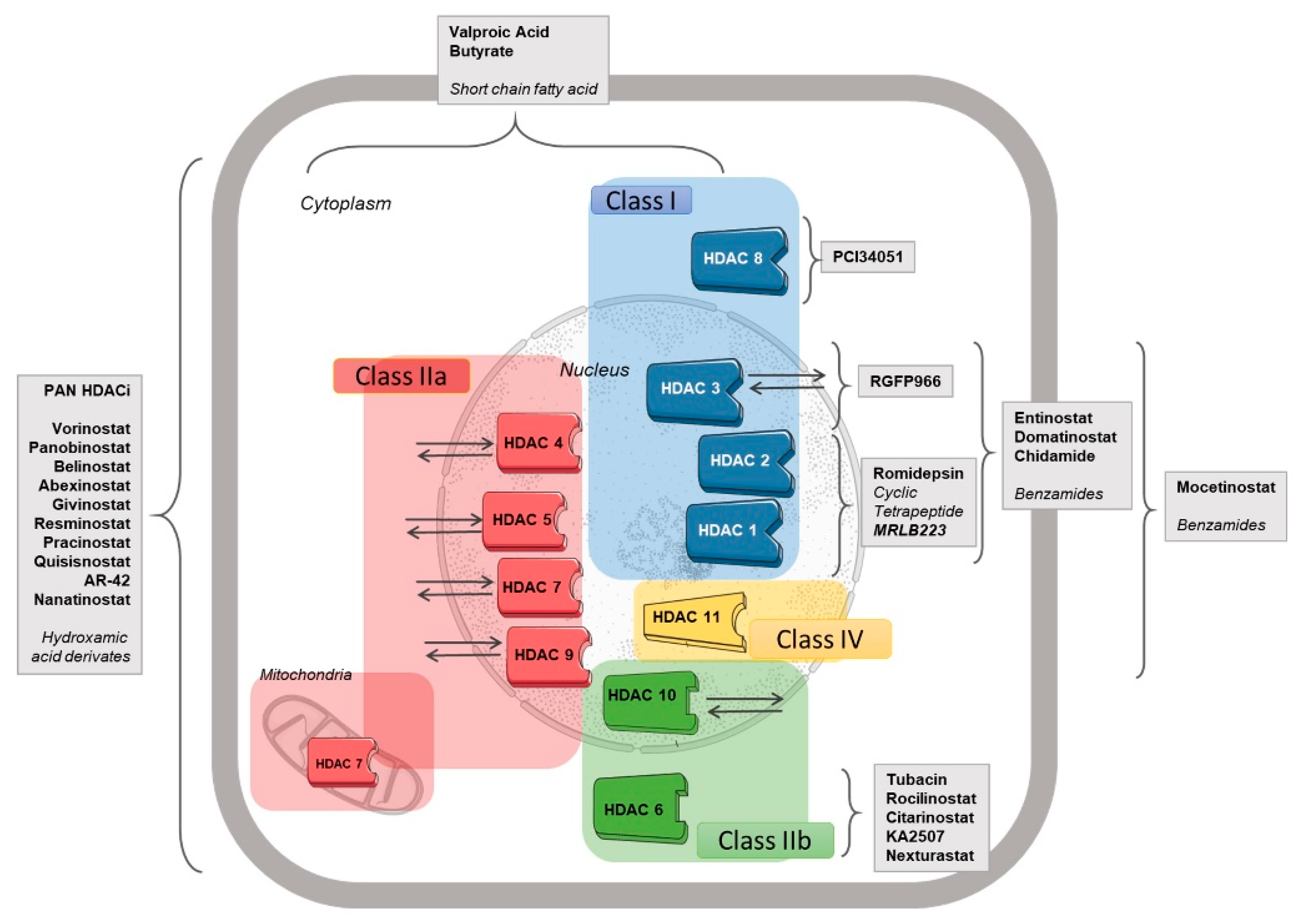 Cancers 14 00695 g001