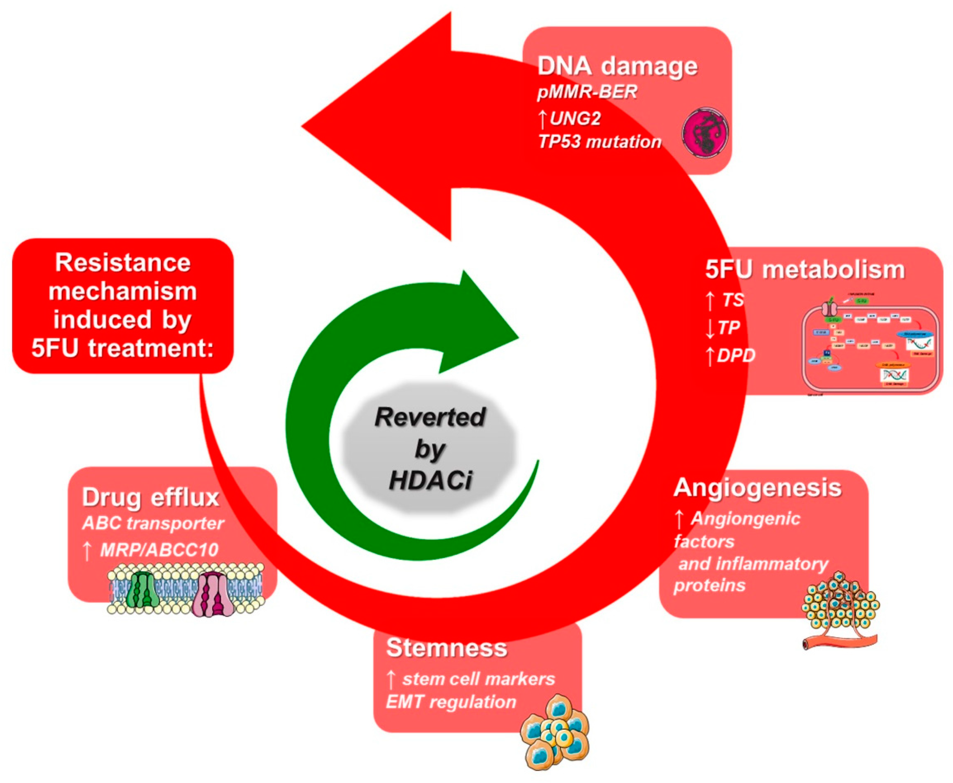 Cancers 14 00695 g004