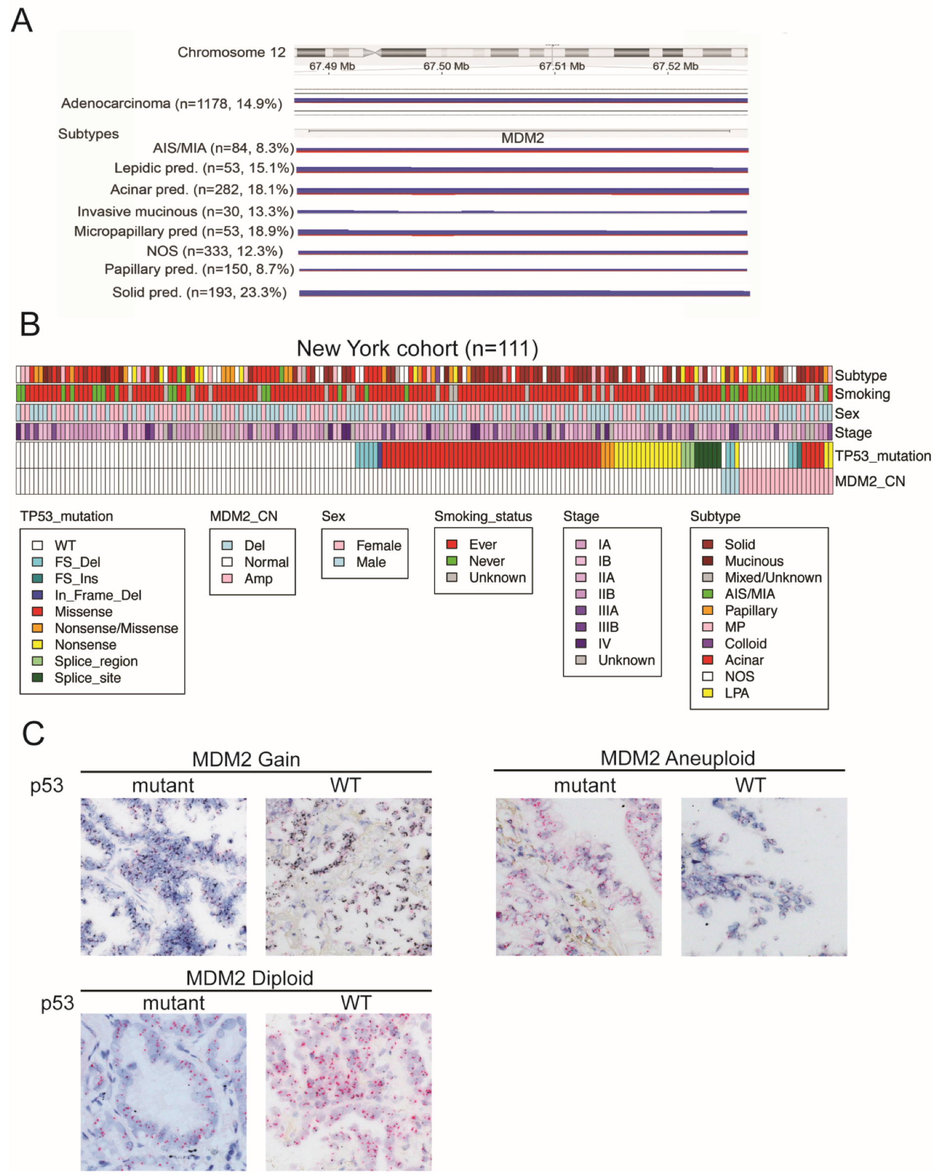 Cancers 14 00708 g001