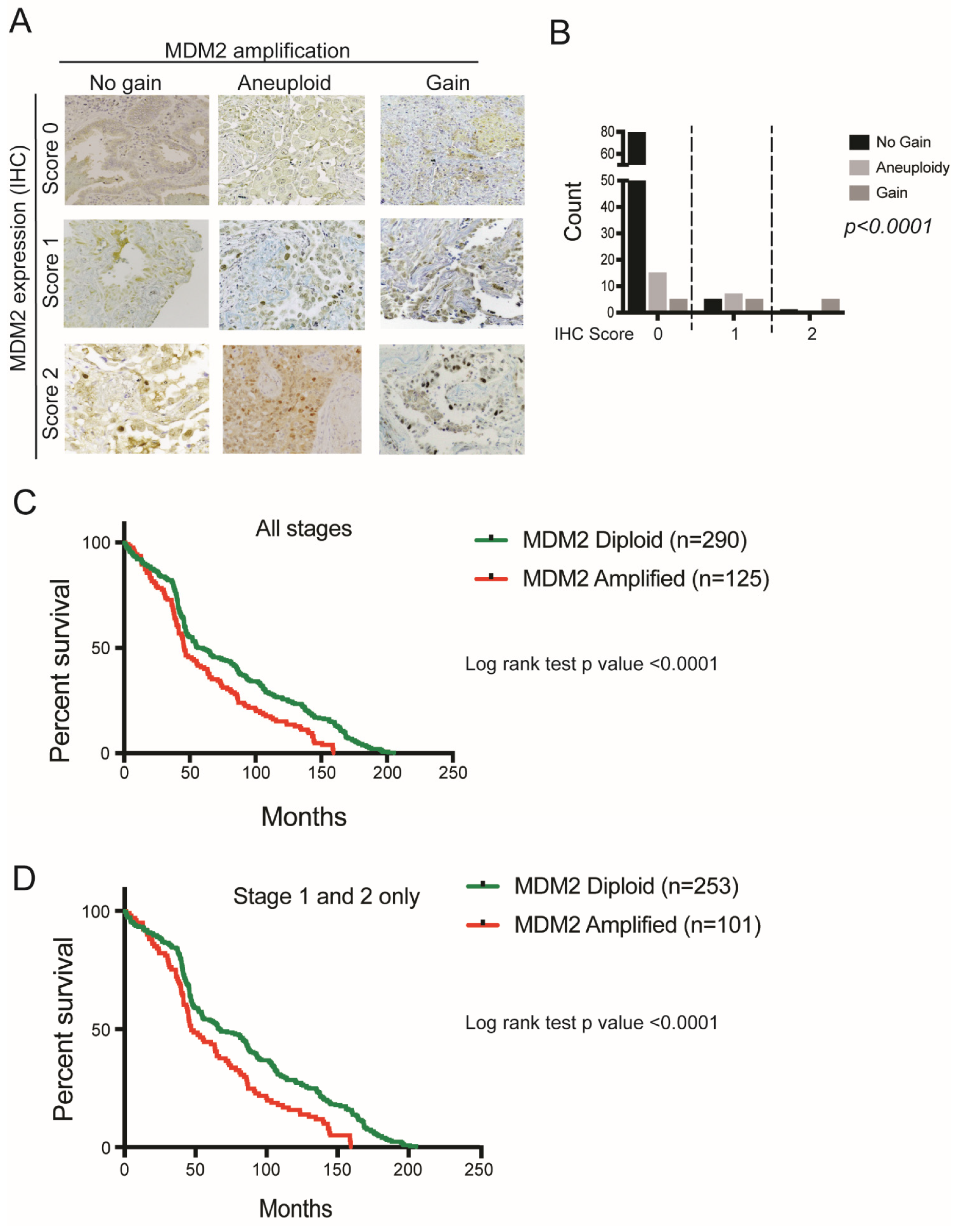 Cancers 14 00708 g002
