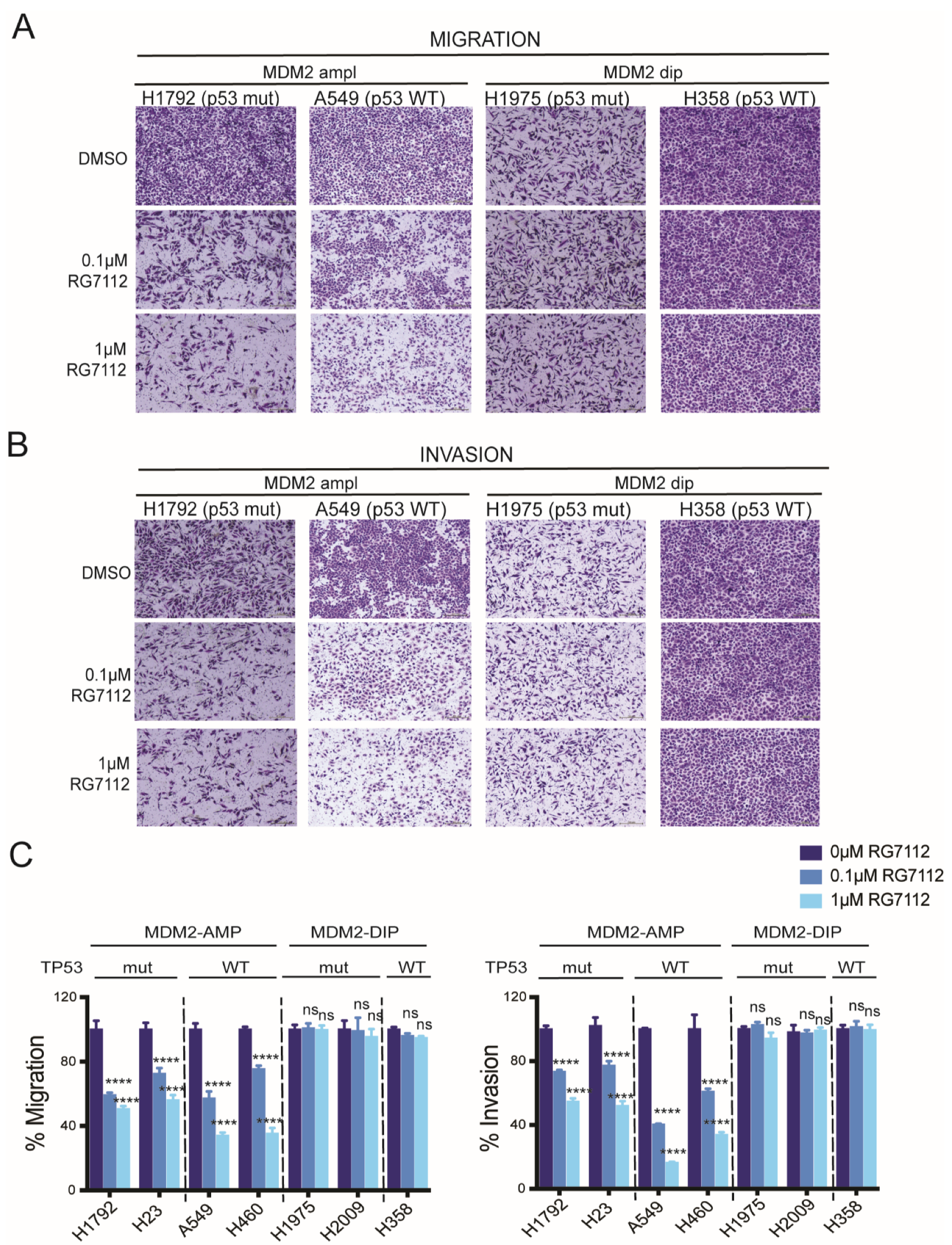 Cancers 14 00708 g003