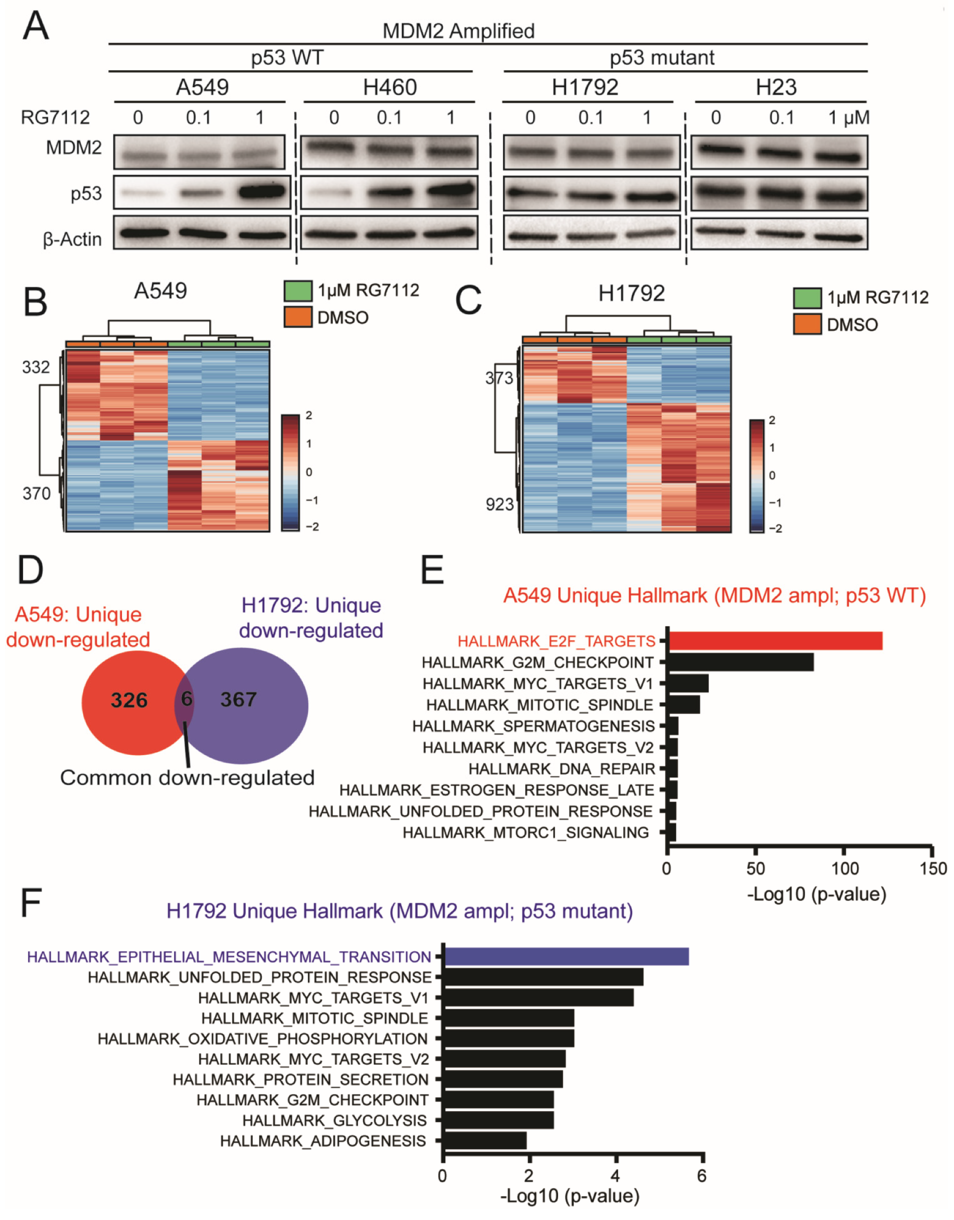 Cancers 14 00708 g005