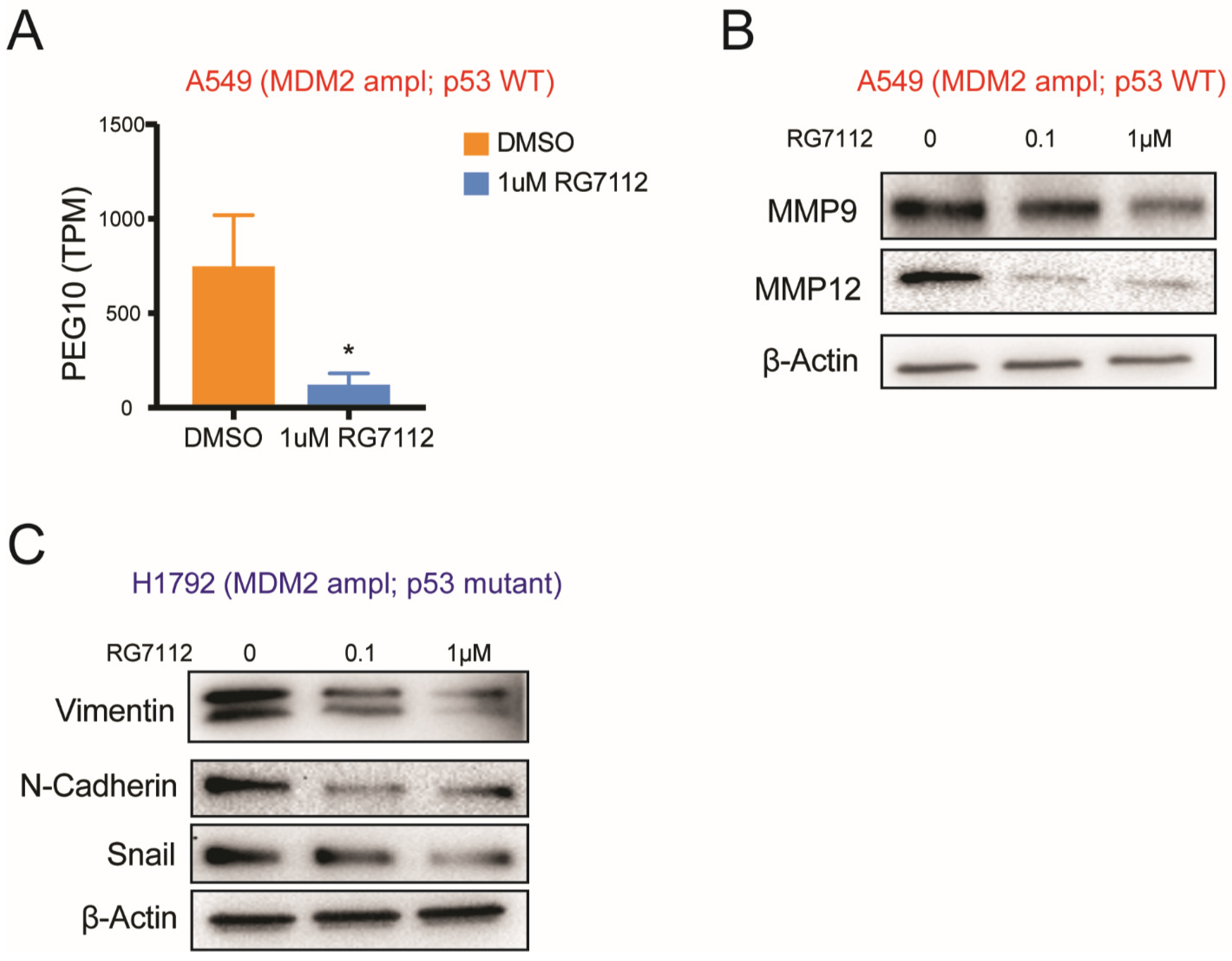 Cancers 14 00708 g006