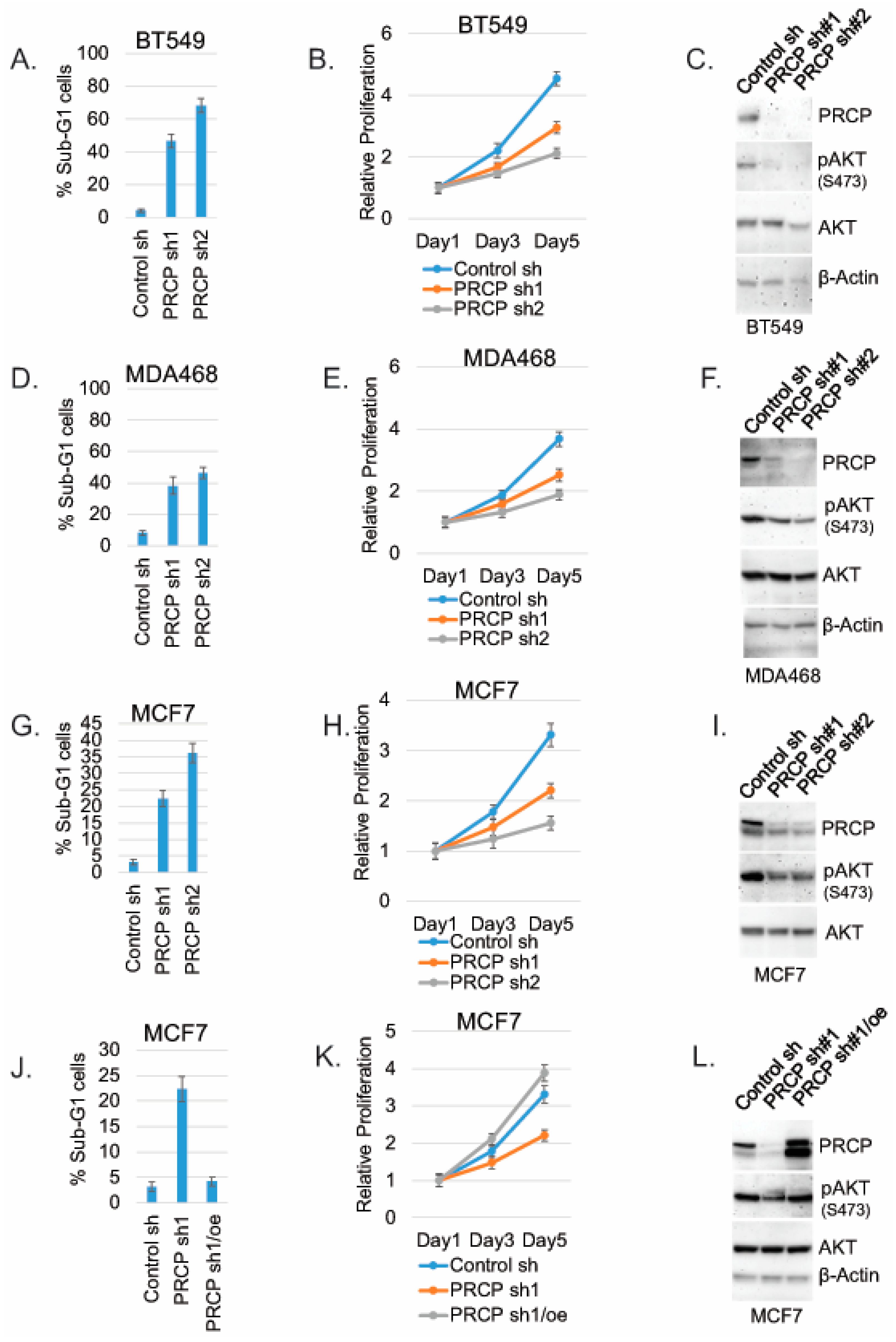 Cancers 14 00739 g002