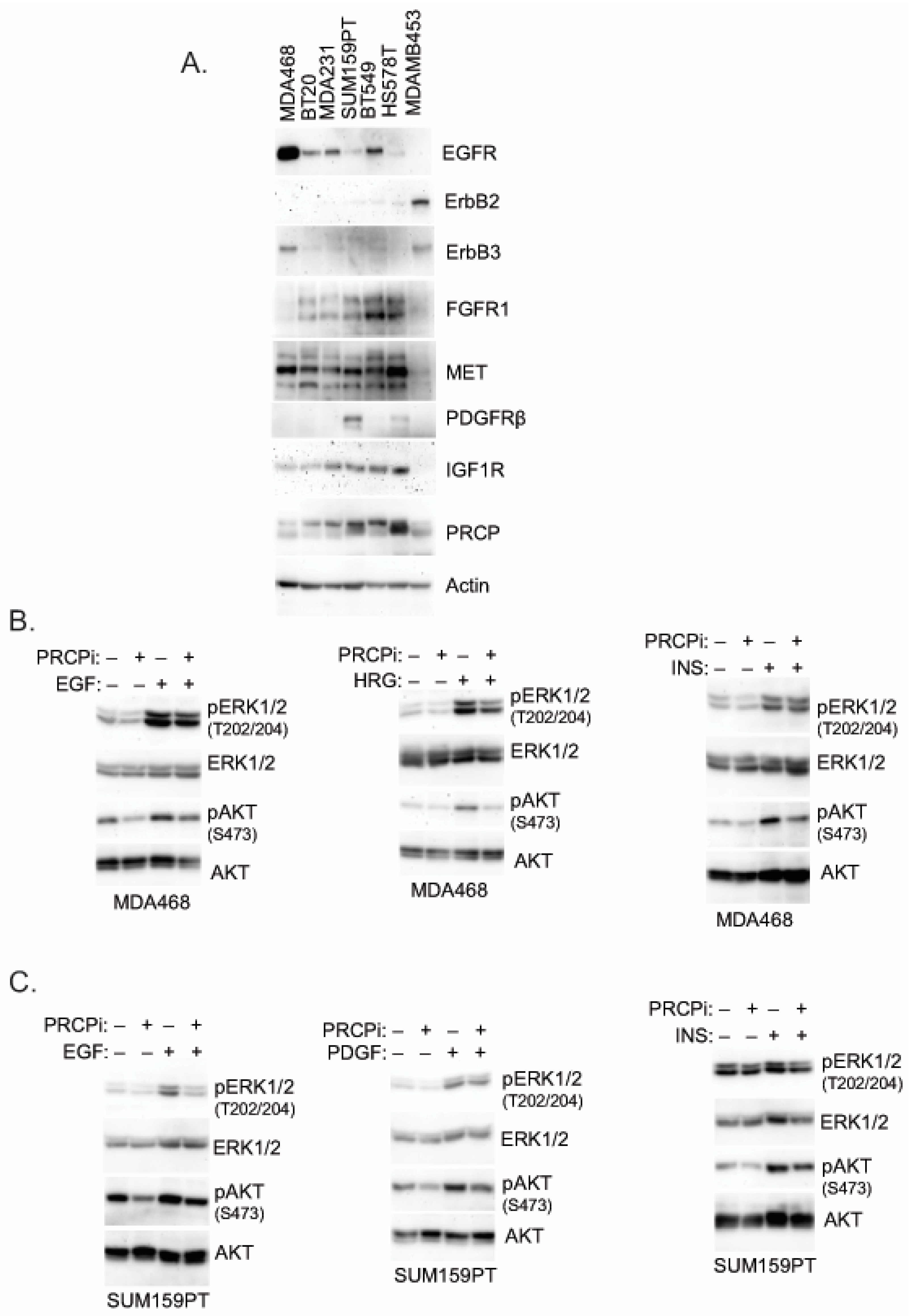 Cancers 14 00739 g005