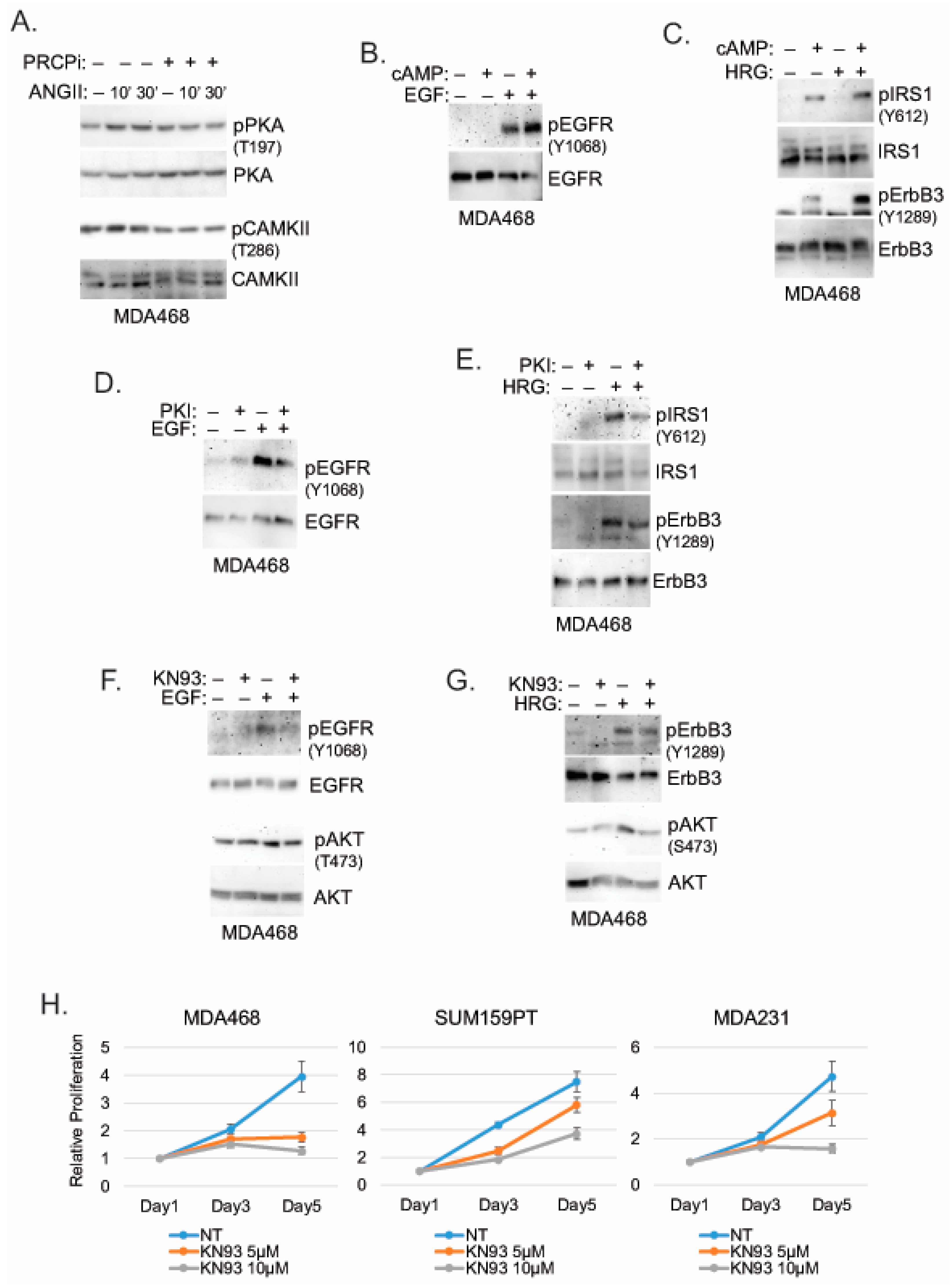 Cancers 14 00739 g007