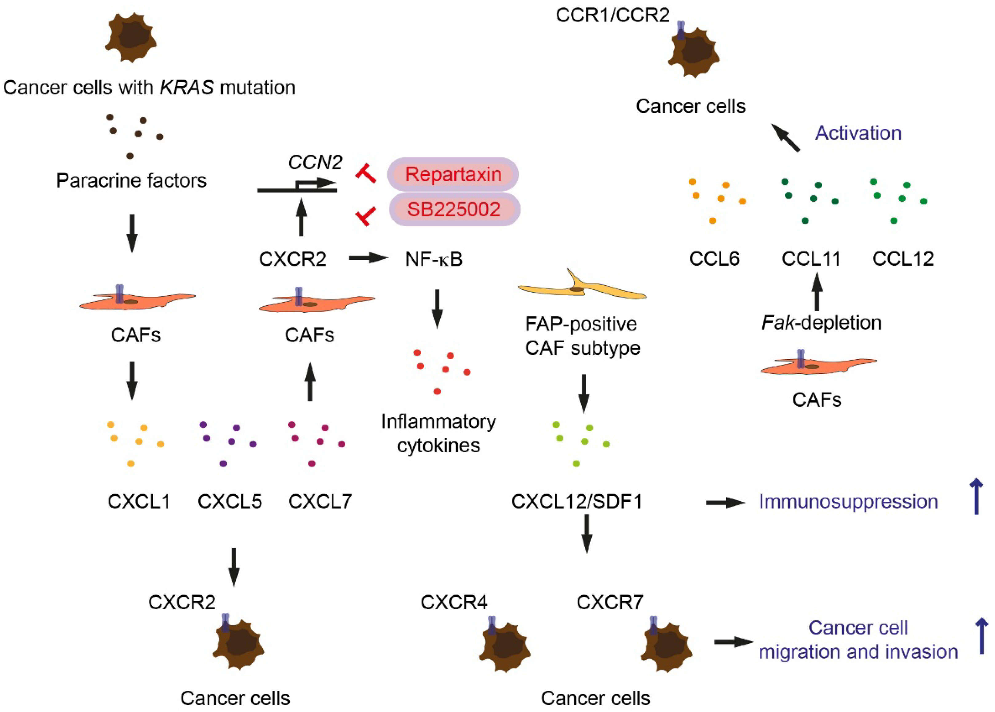 Cancers 14 00744 g003