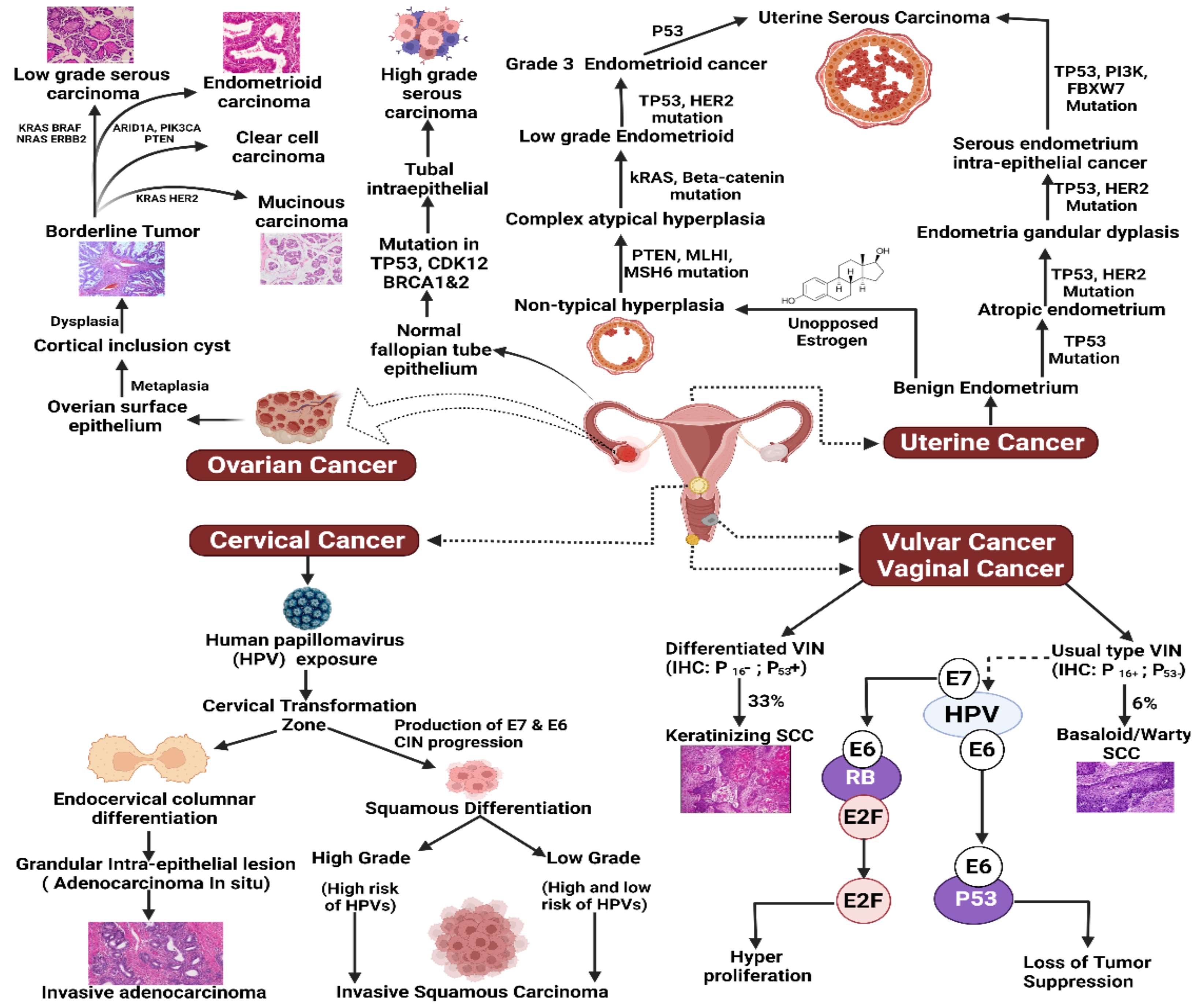 Cancers 14 00759 g001 Cancers 14 00759 g001