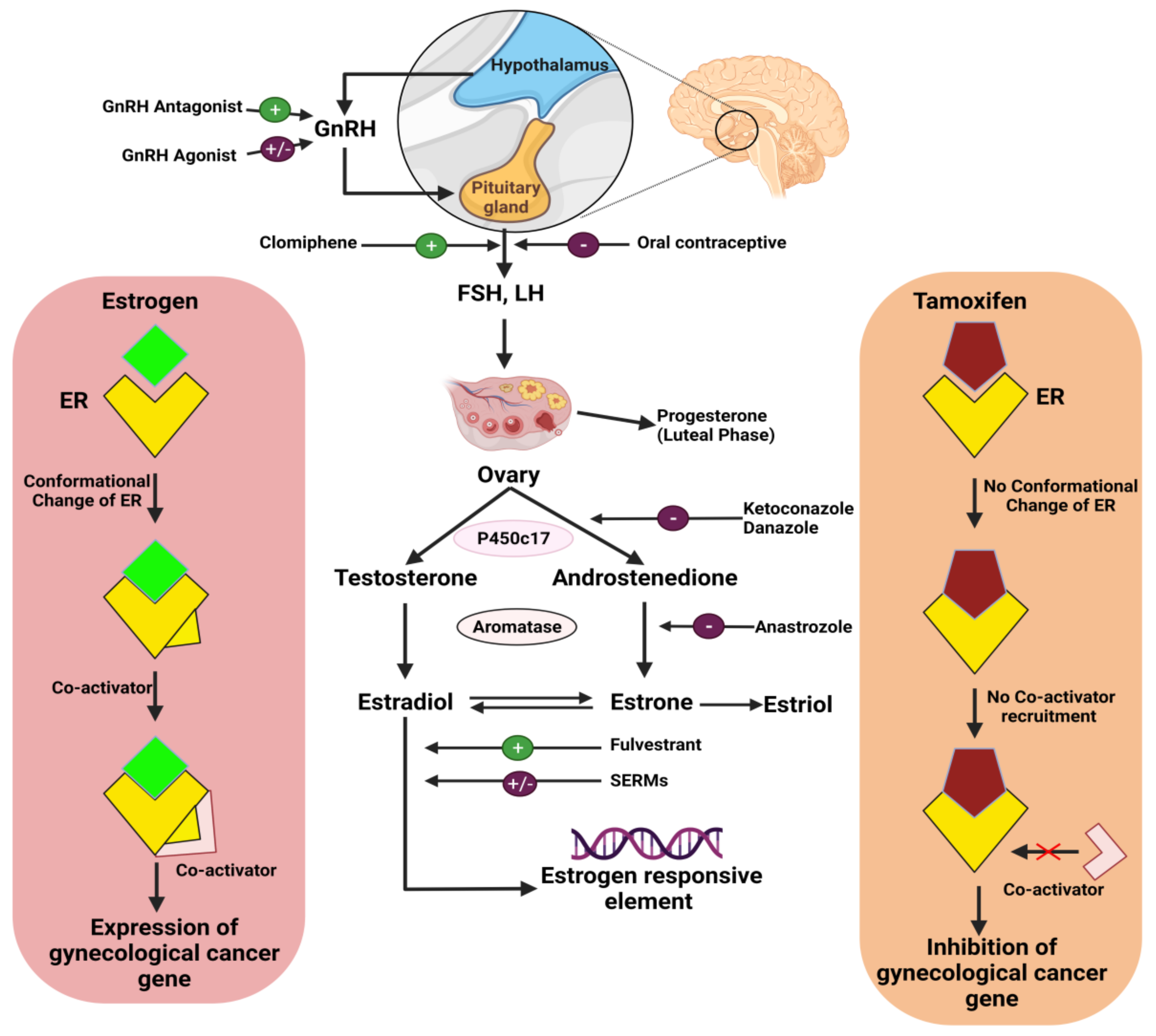 Cancers 14 00759 g002 Cancers 14 00759 g002