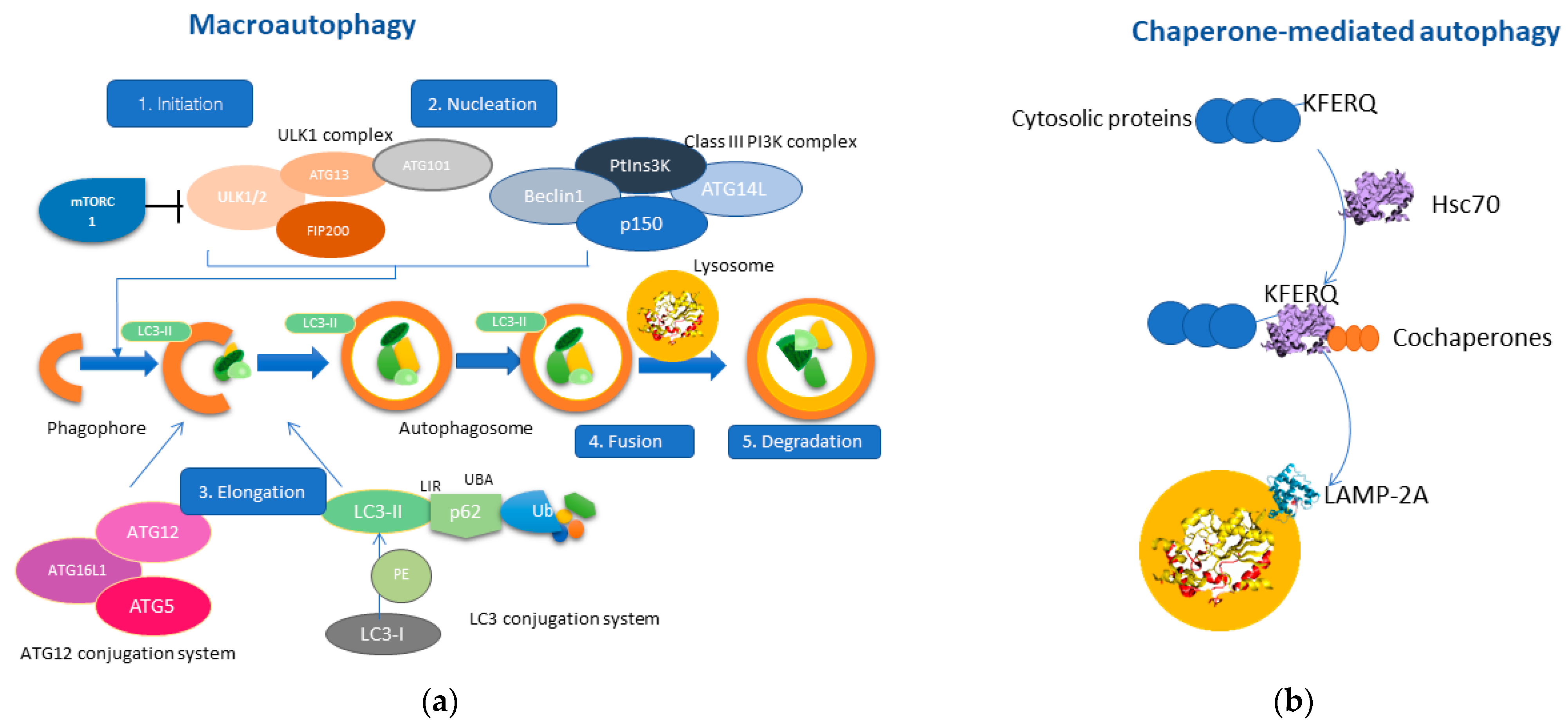 Cancers 14 00760 g001
