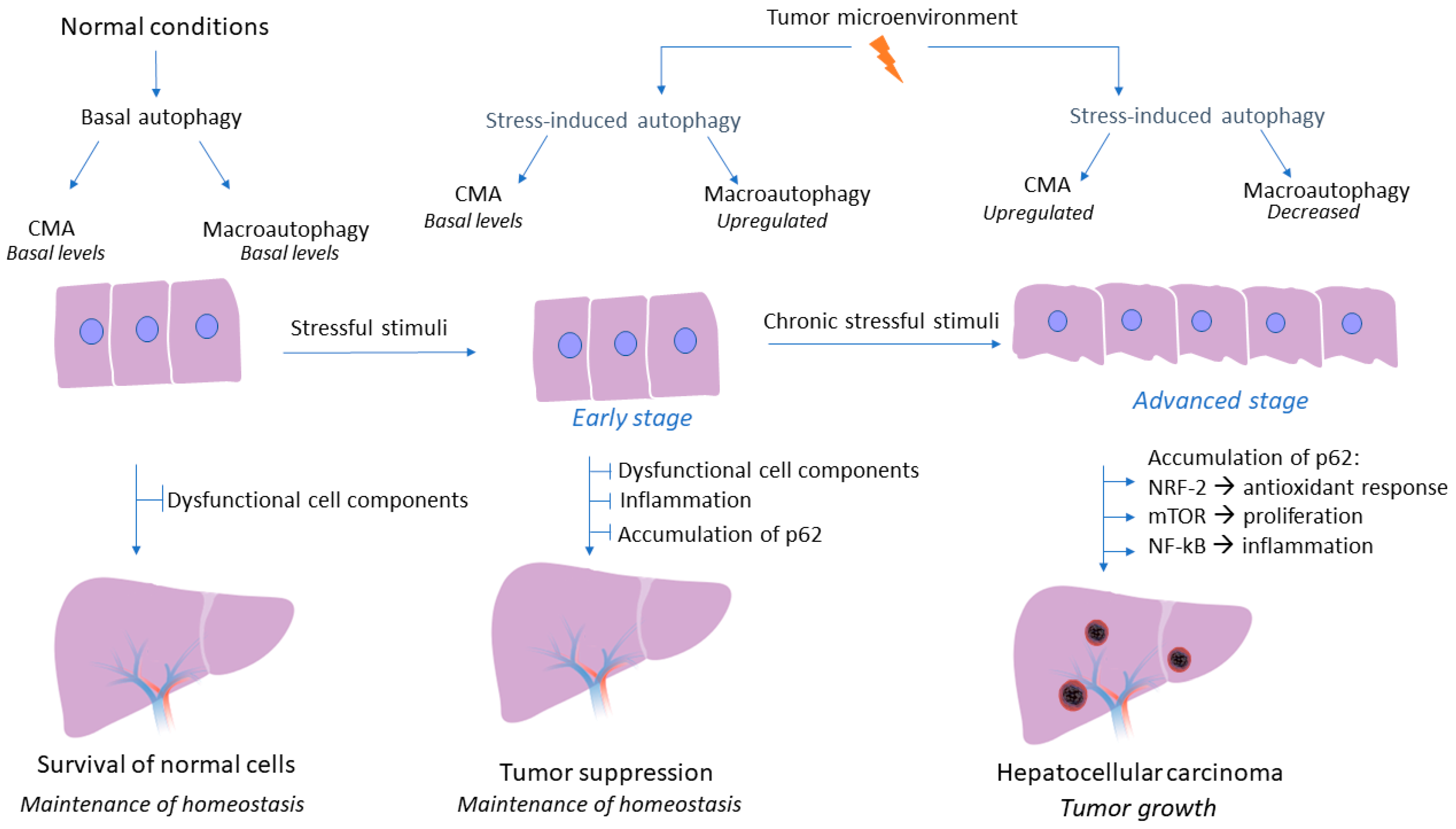 Cancers 14 00760 g002