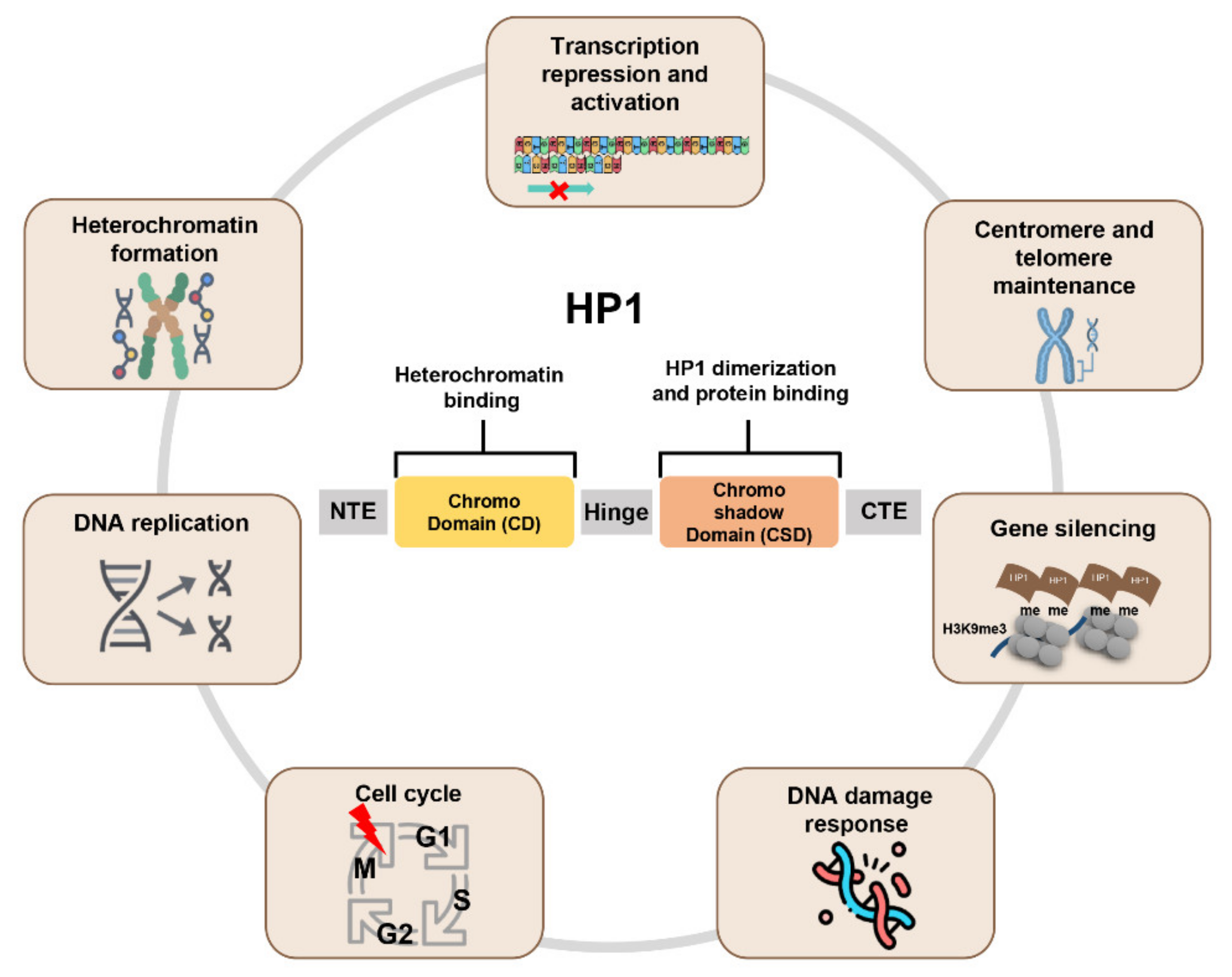 Cancers 14 00763 g001