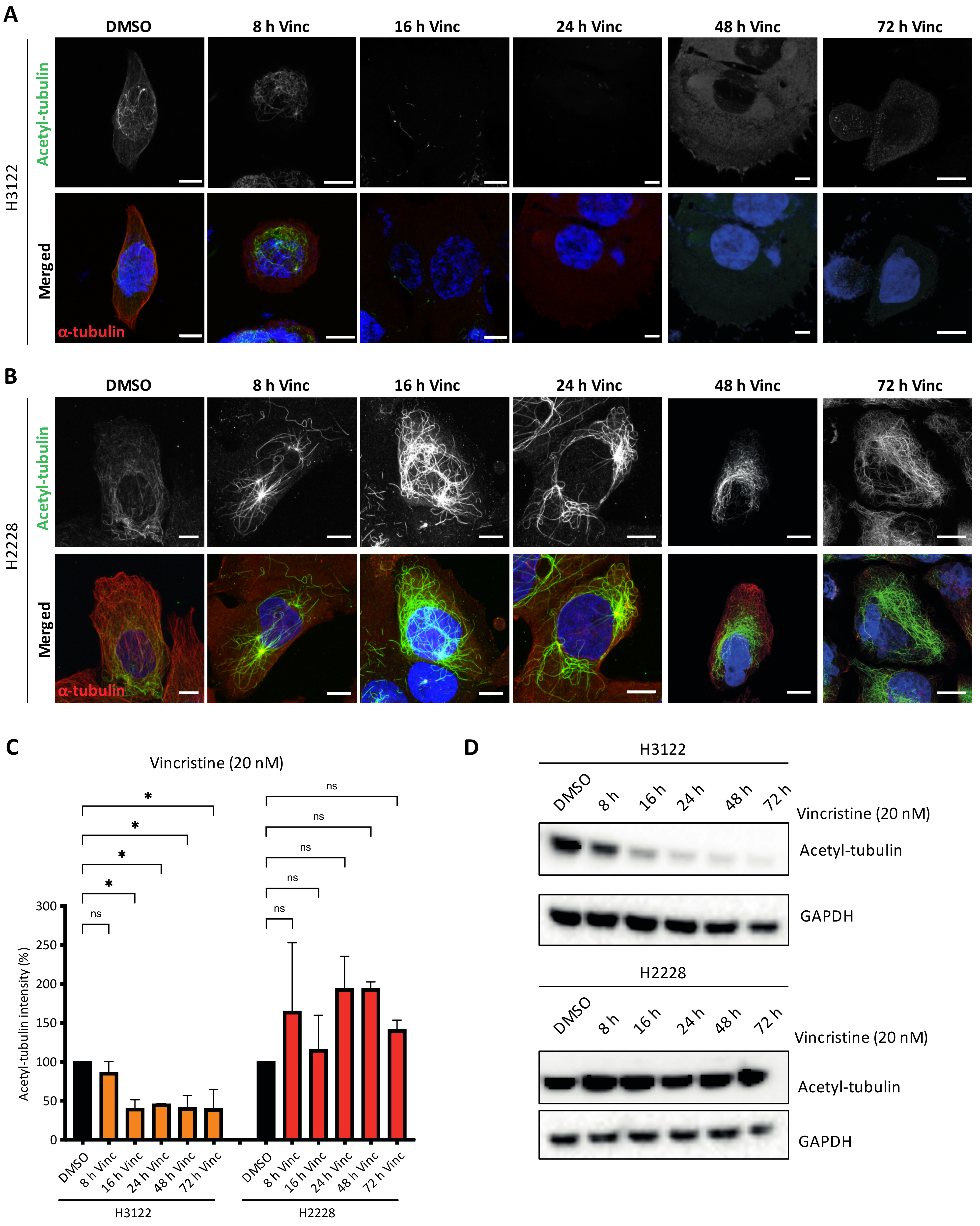 Cancers 14 00779 g004