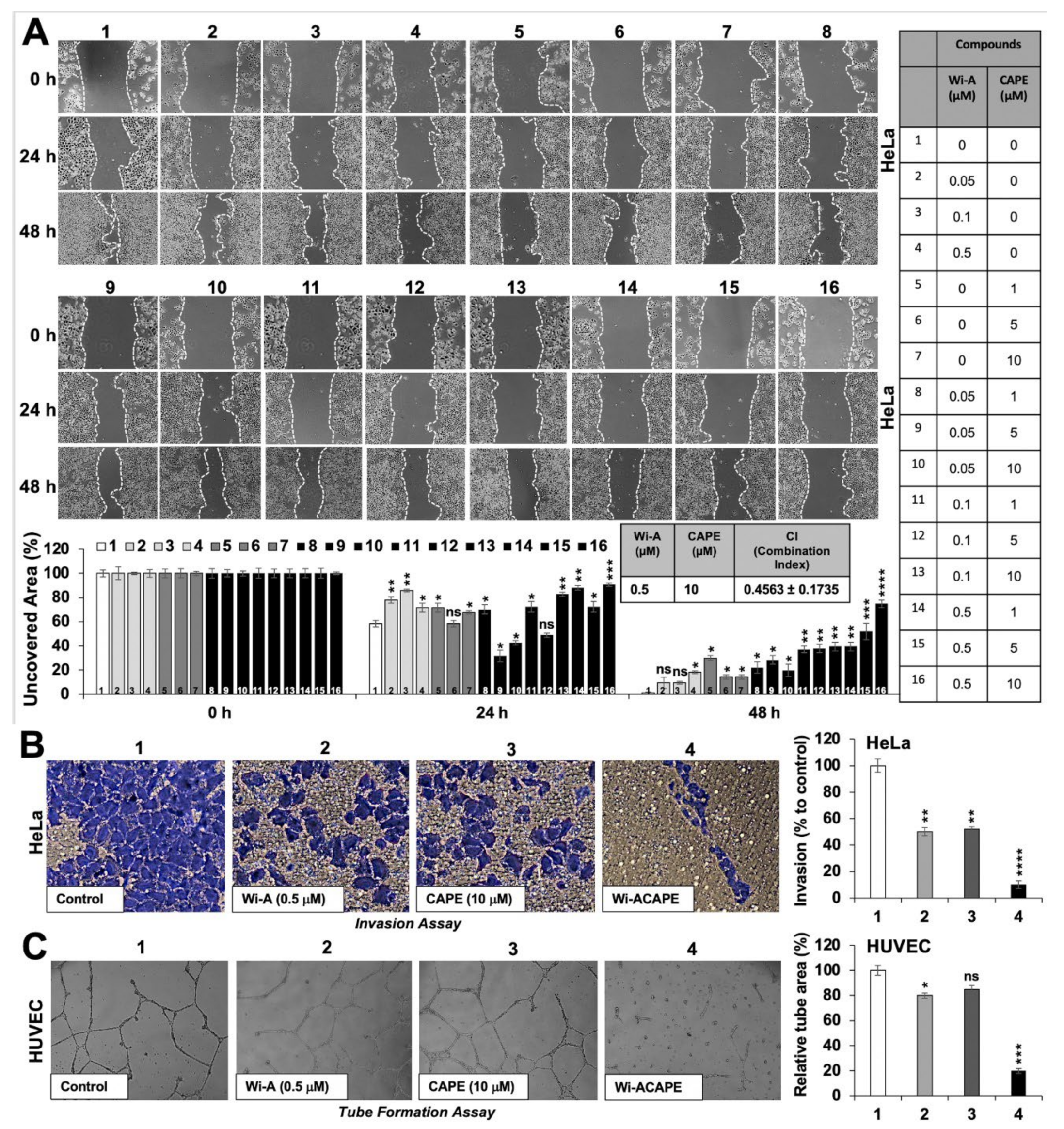 Cancers 14 00787 g001