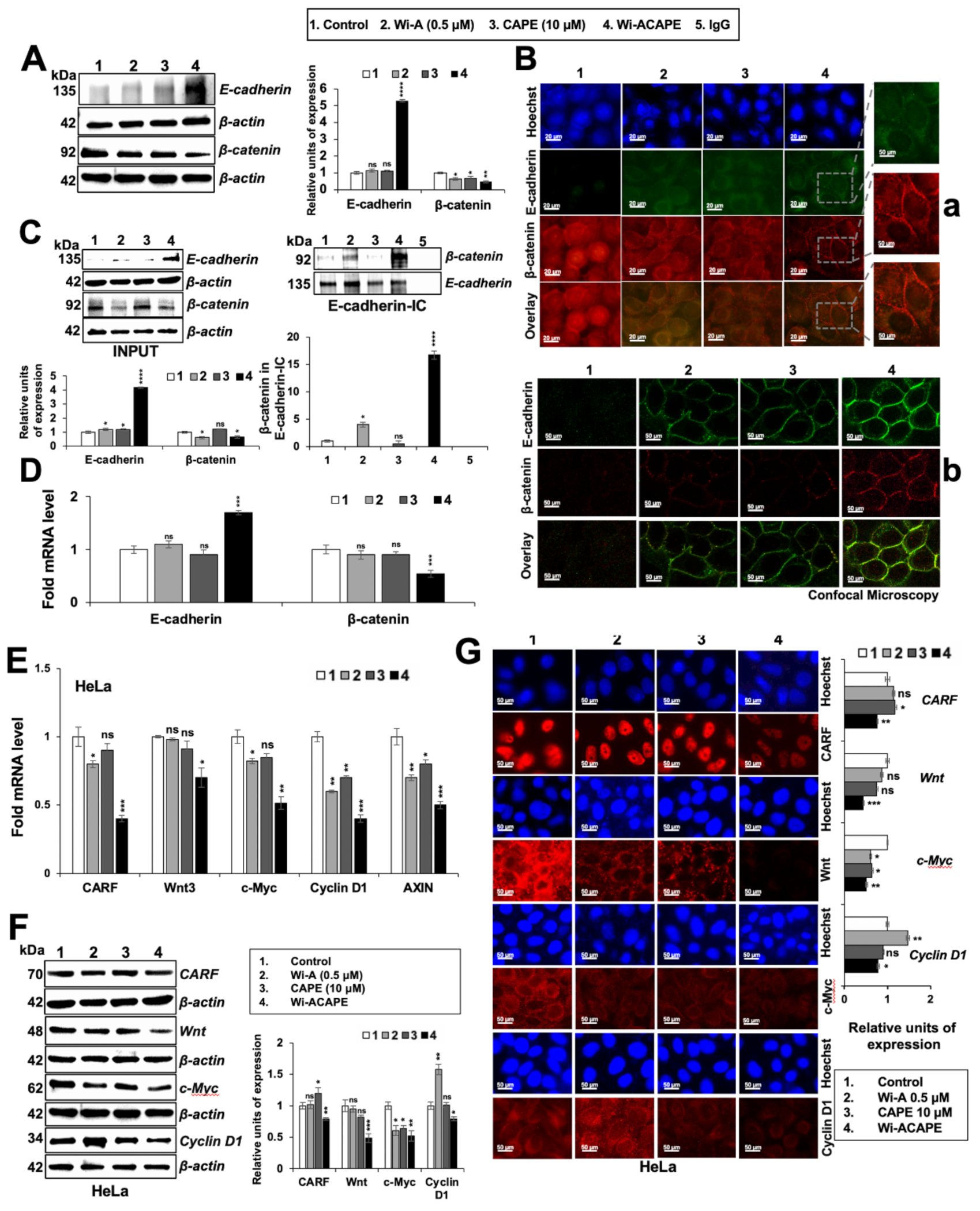 Cancers 14 00787 g003