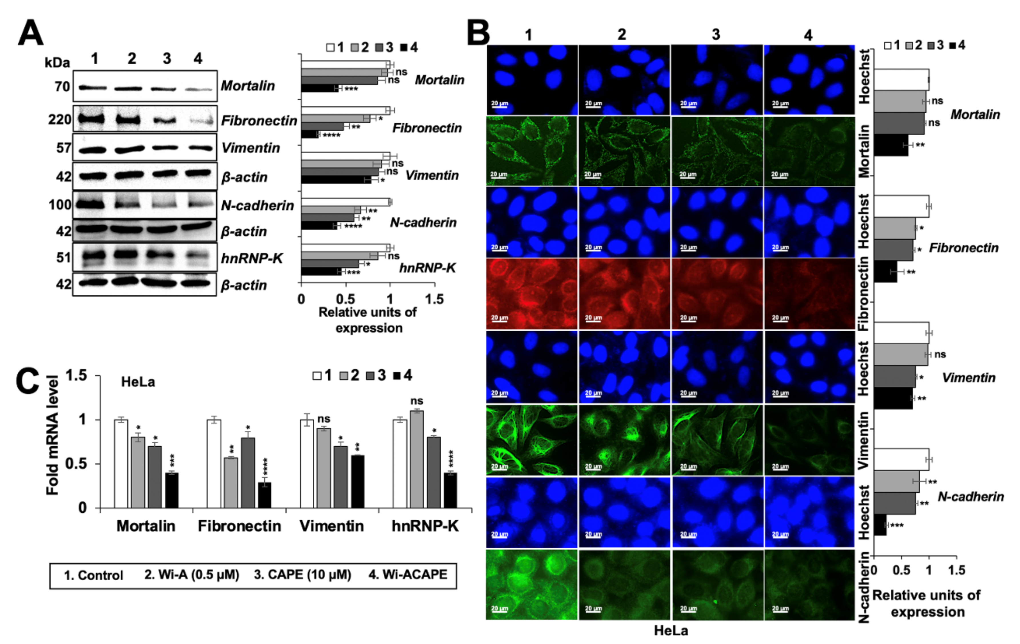 Cancers 14 00787 g004