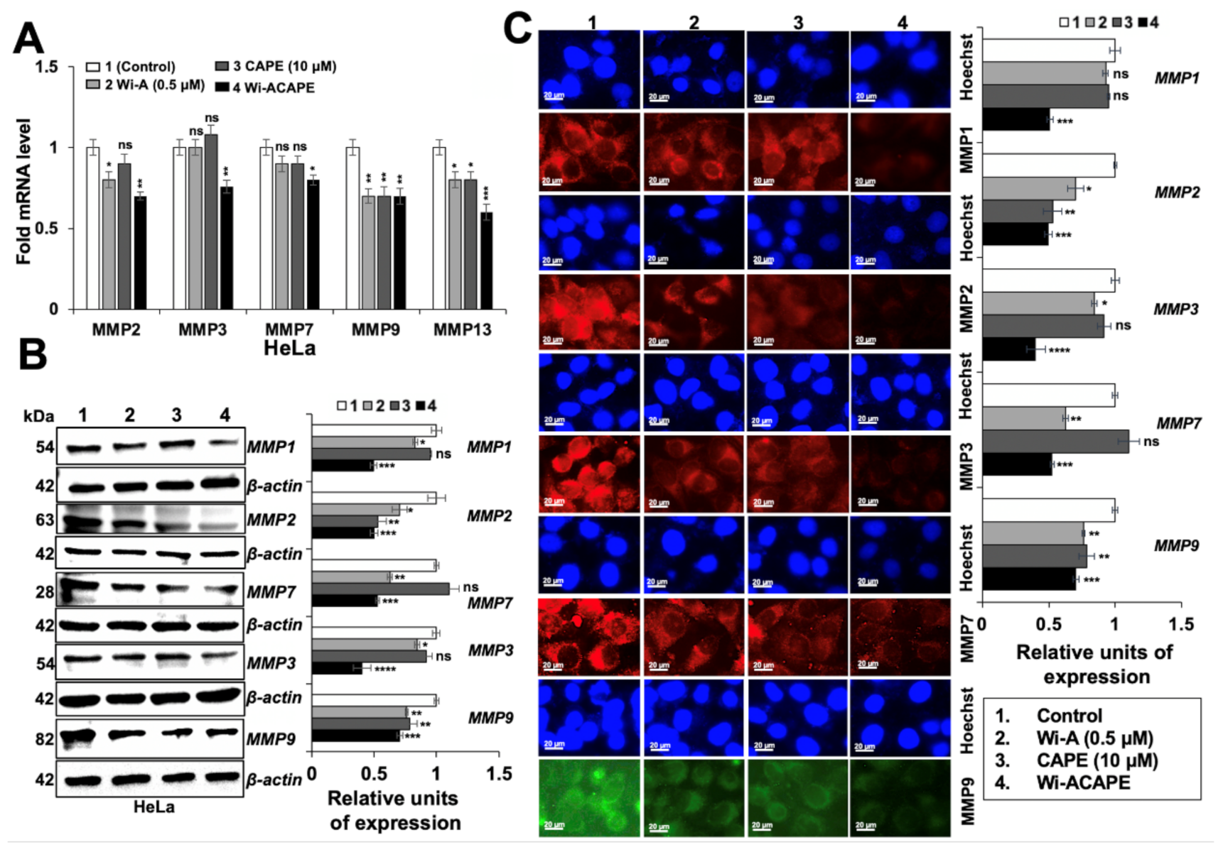 Cancers 14 00787 g005