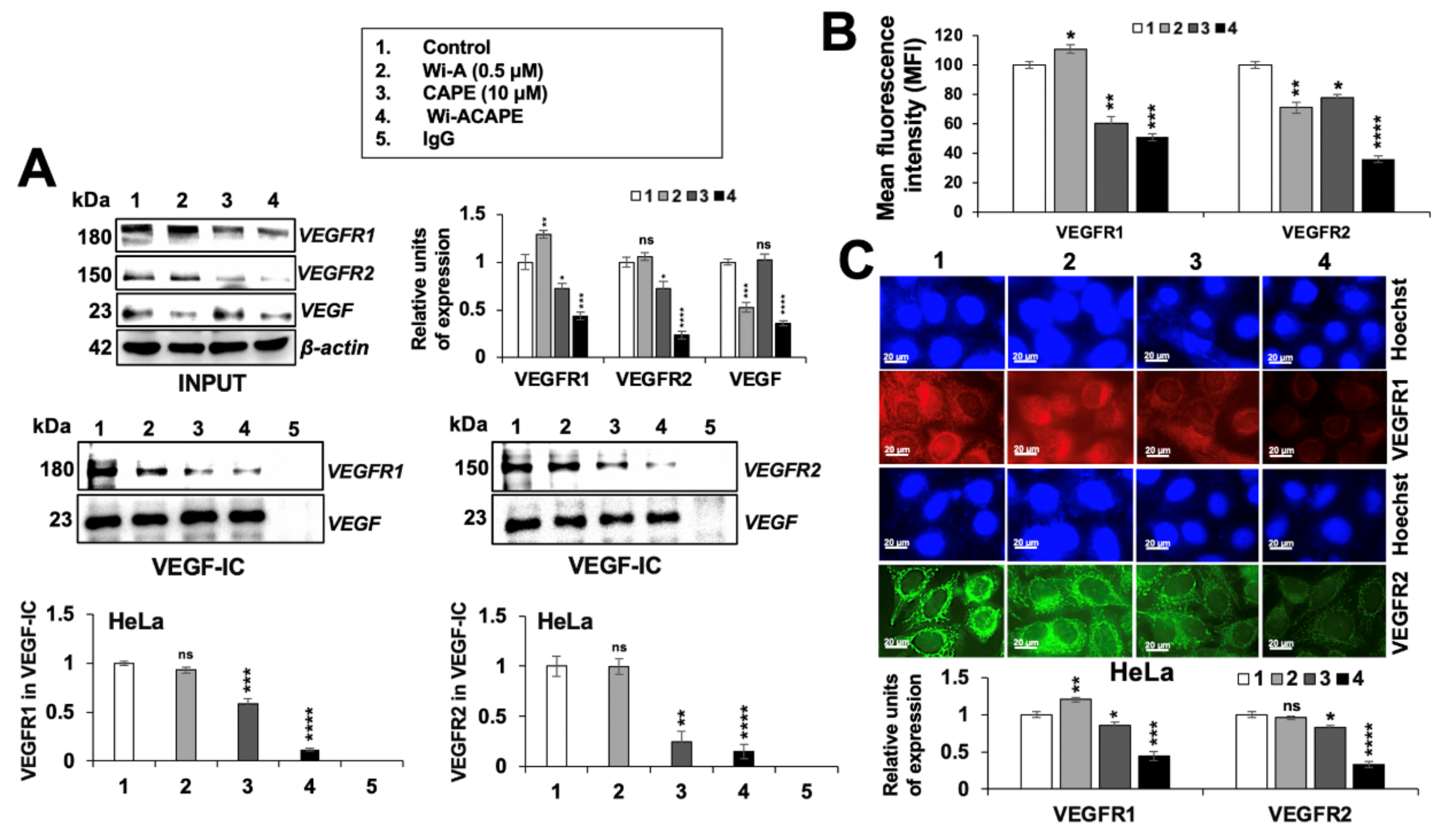 Cancers 14 00787 g007