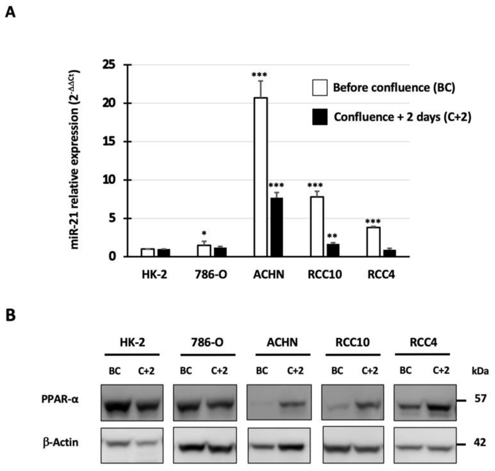 Cancers 14 00795 g002