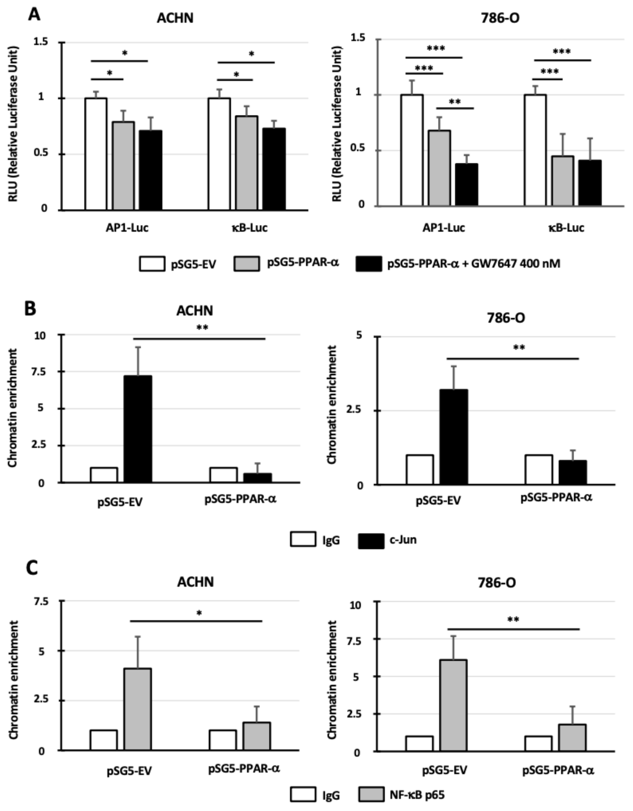 Cancers 14 00795 g004