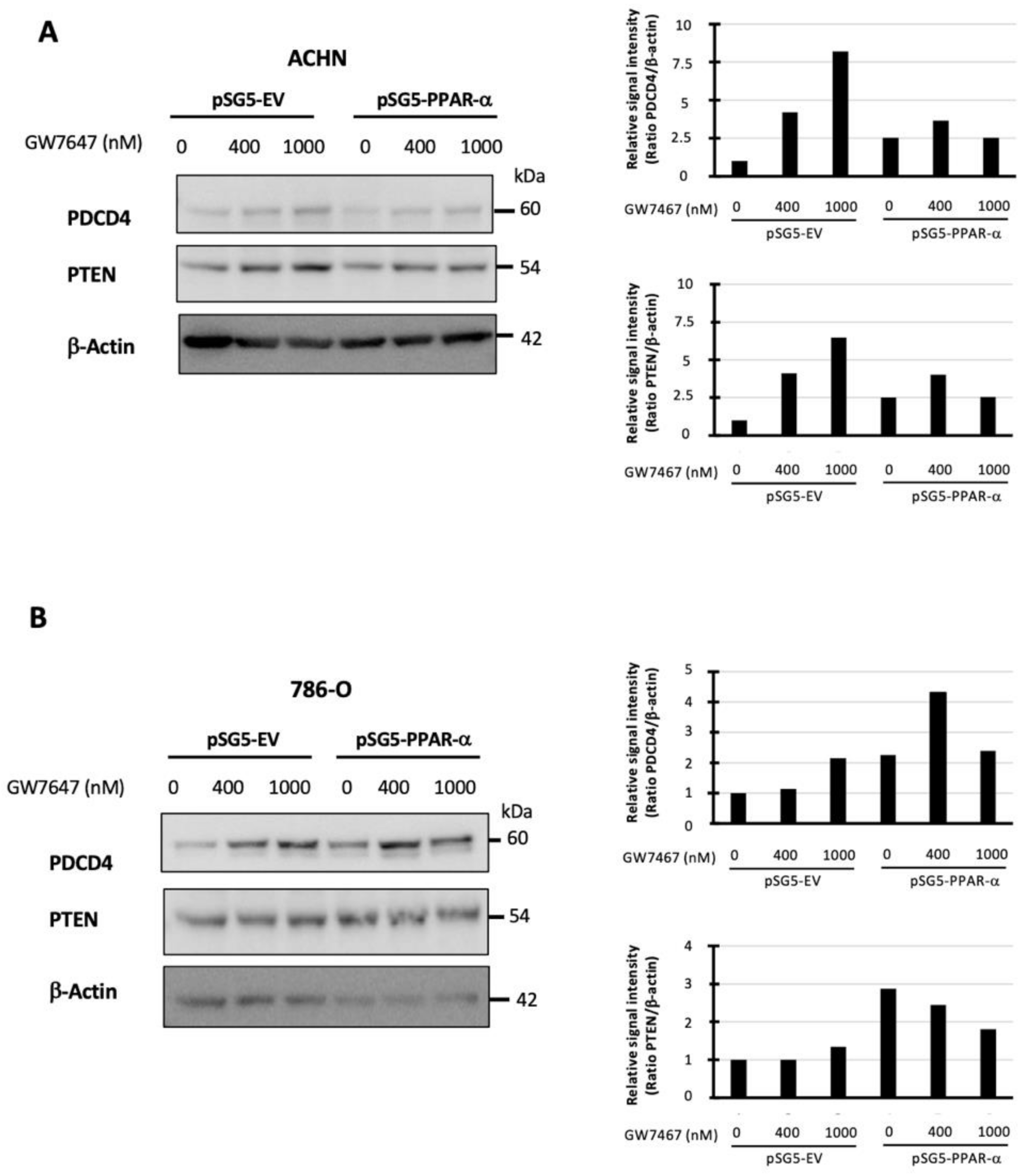 Cancers 14 00795 g005