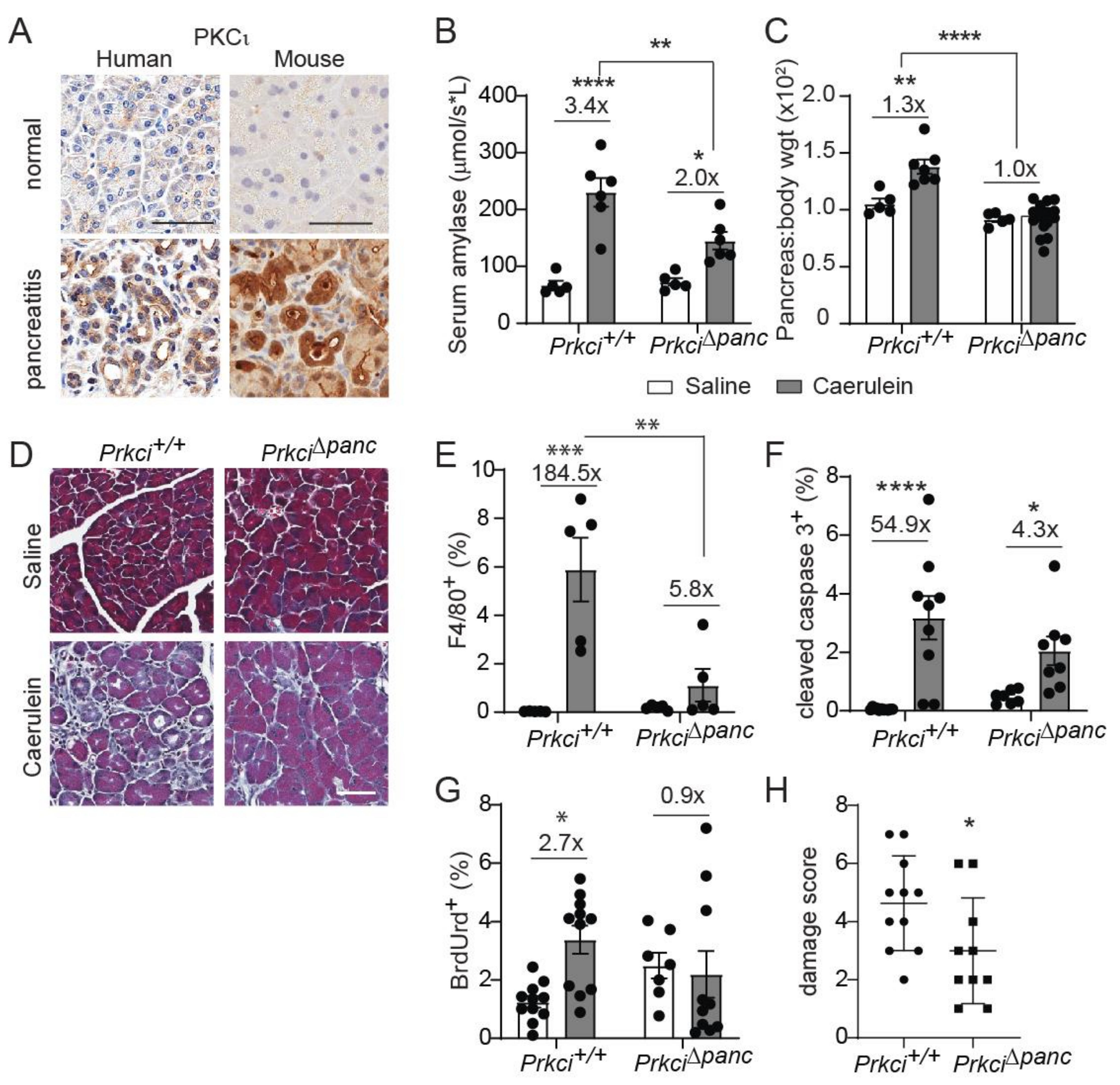 Cancers 14 00796 g003