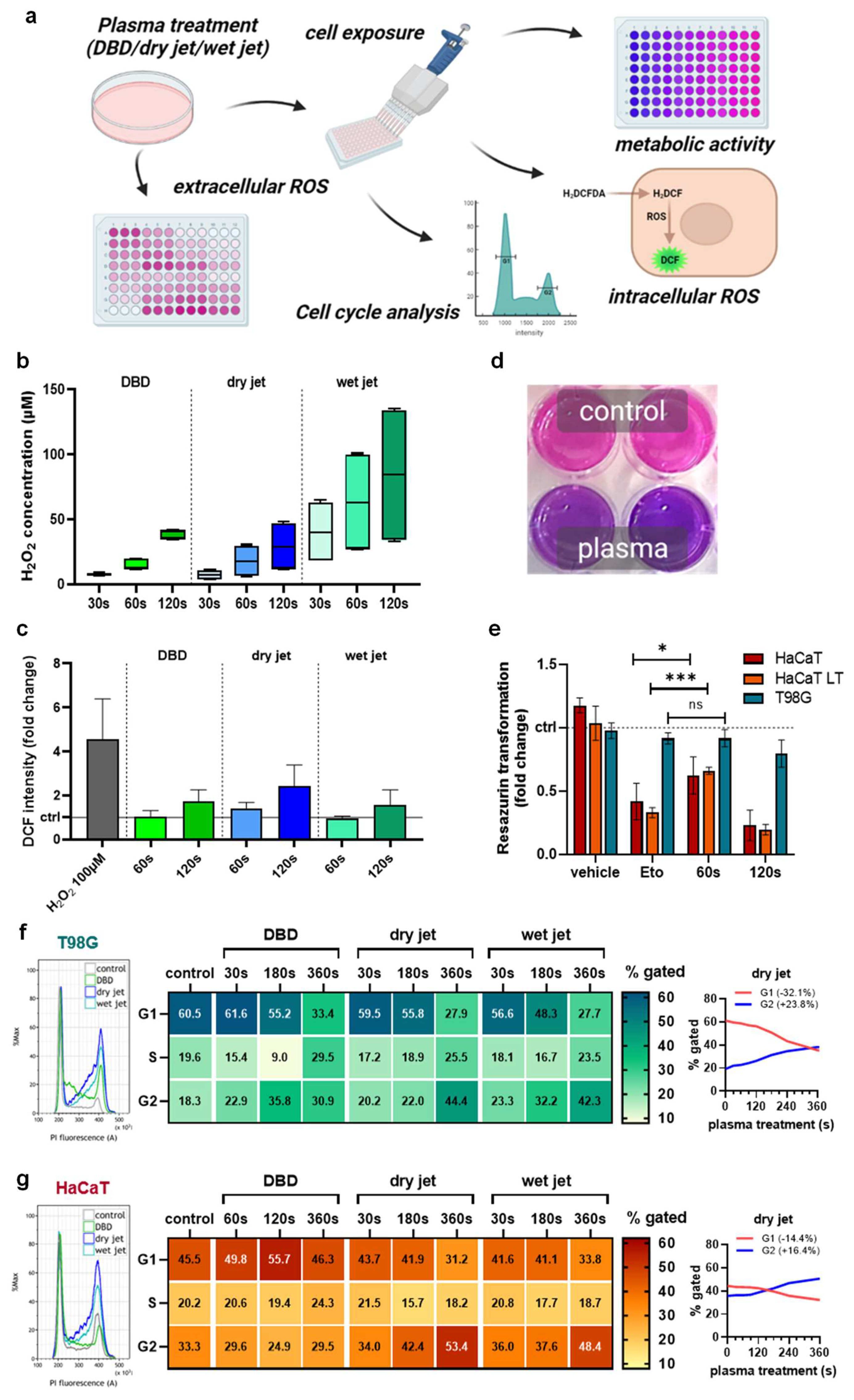 Cancers 14 00813 g001