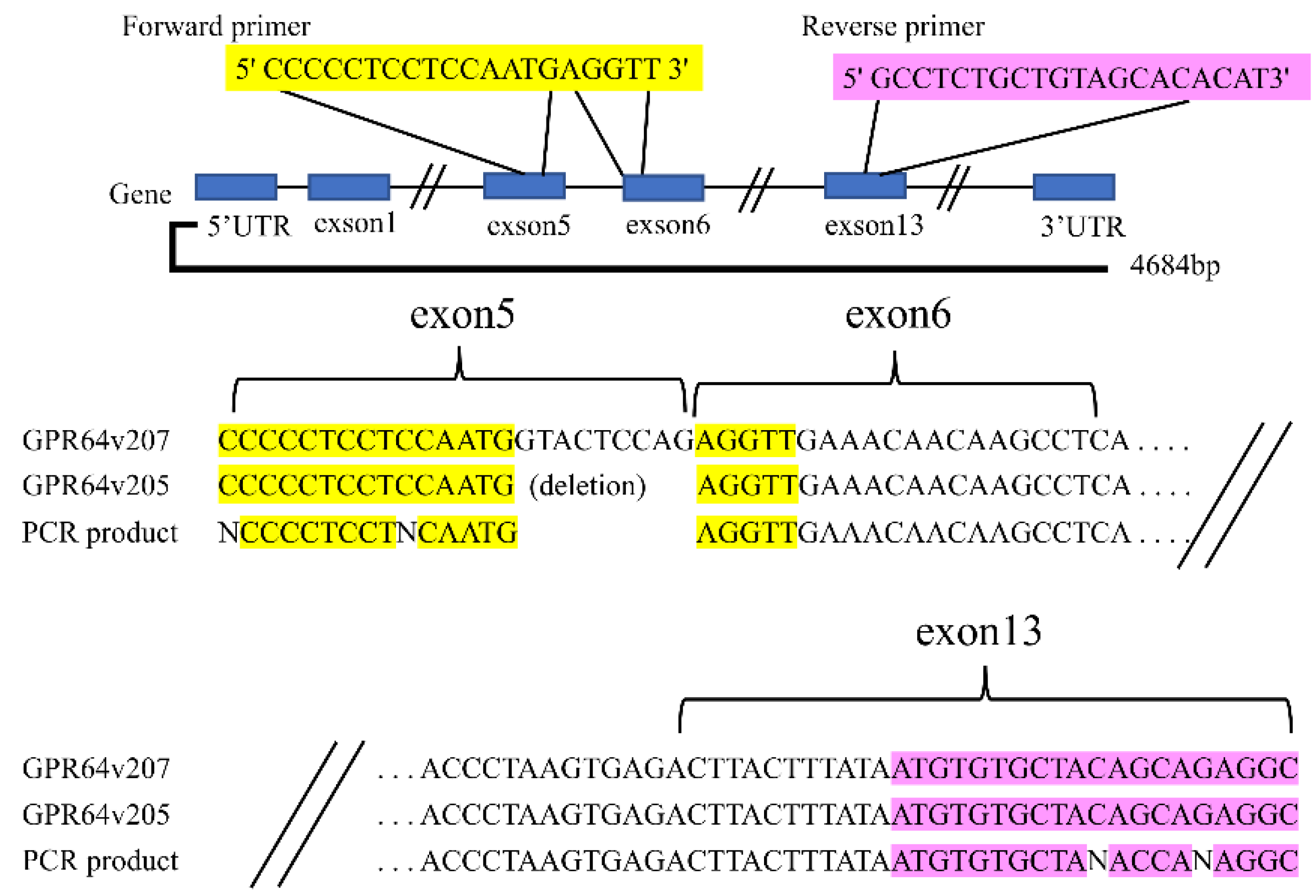 Cancers 14 00814 g001